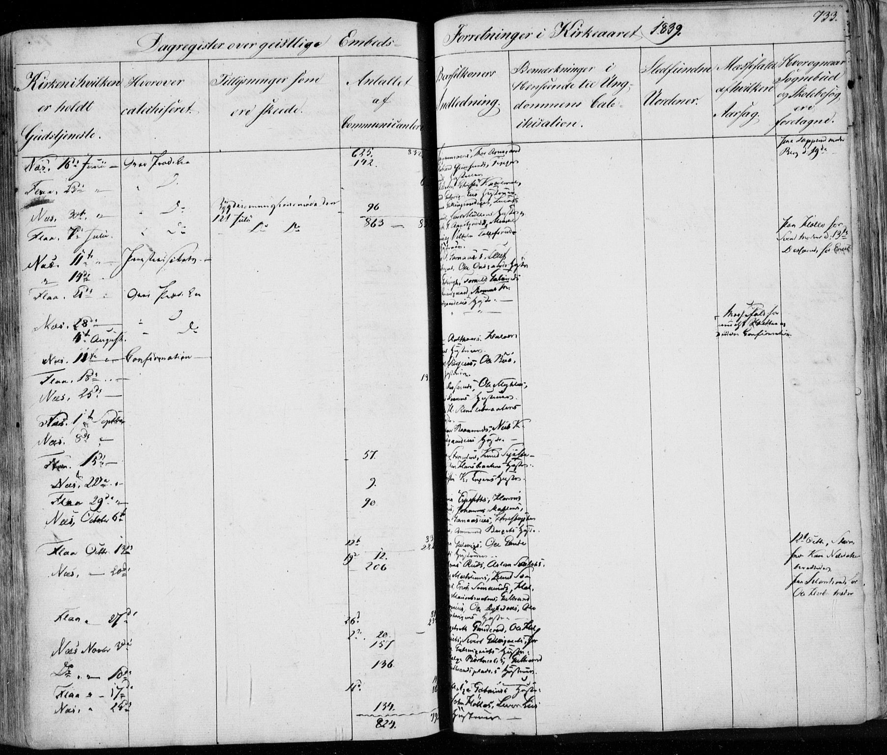 Nes kirkebøker, AV/SAKO-A-236/F/Fa/L0009: Parish register (official) no. 9, 1834-1863, p. 733