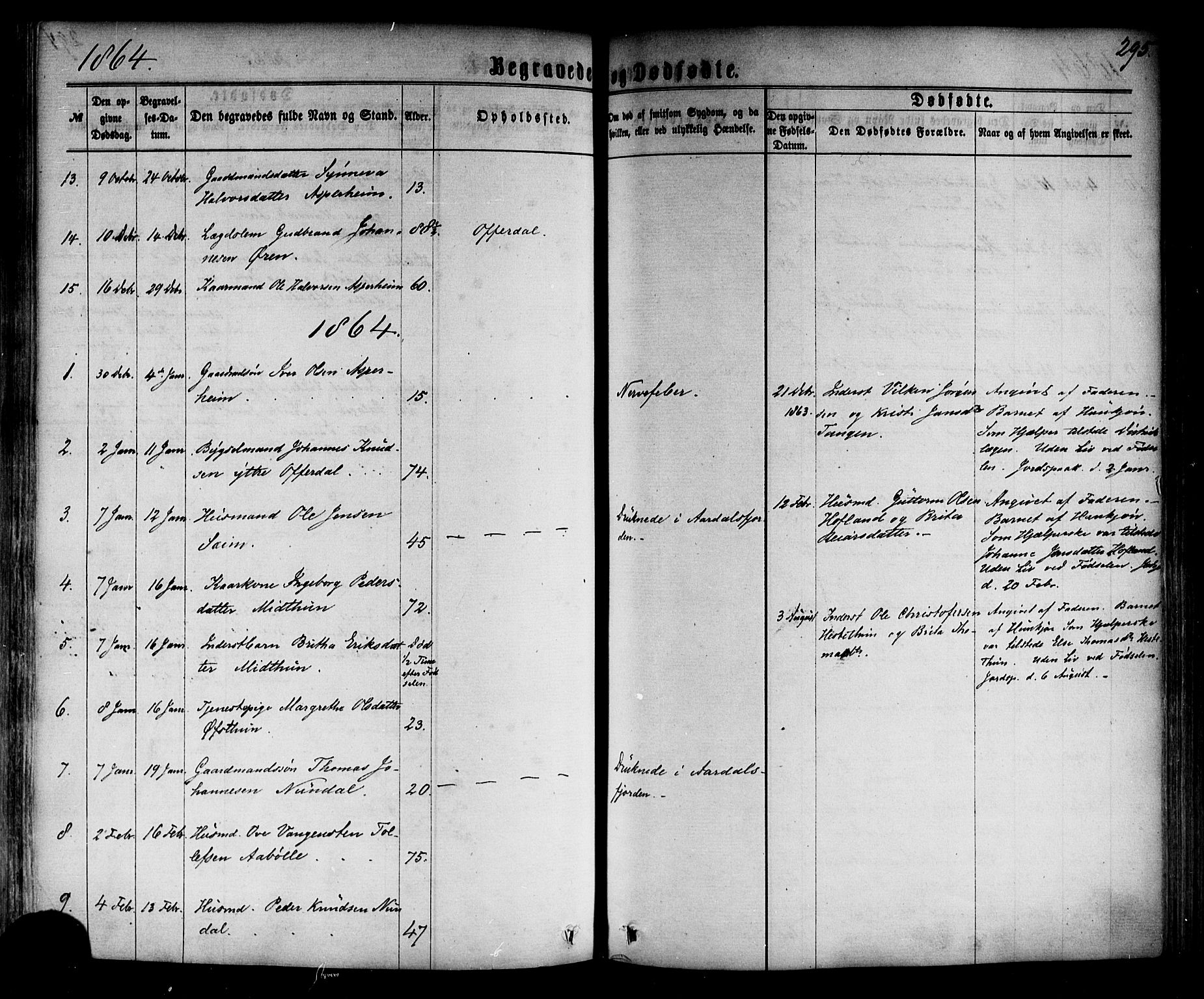 Årdal sokneprestembete, SAB/A-81701: Parish register (official) no. A 3, 1863-1886, p. 295