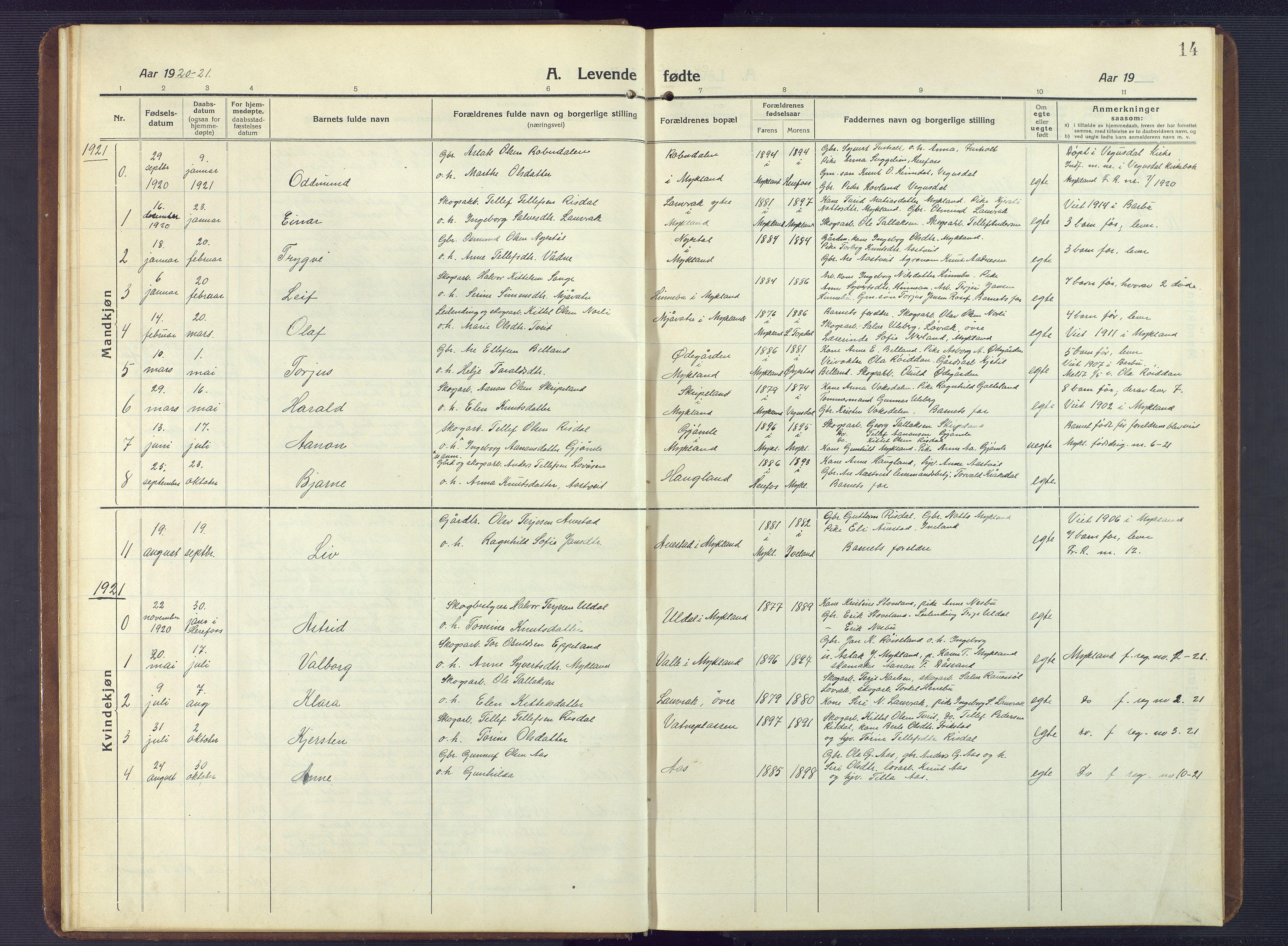 Herefoss sokneprestkontor, AV/SAK-1111-0019/F/Fb/Fbc/L0004: Parish register (copy) no. B 4, 1914-1946, p. 14