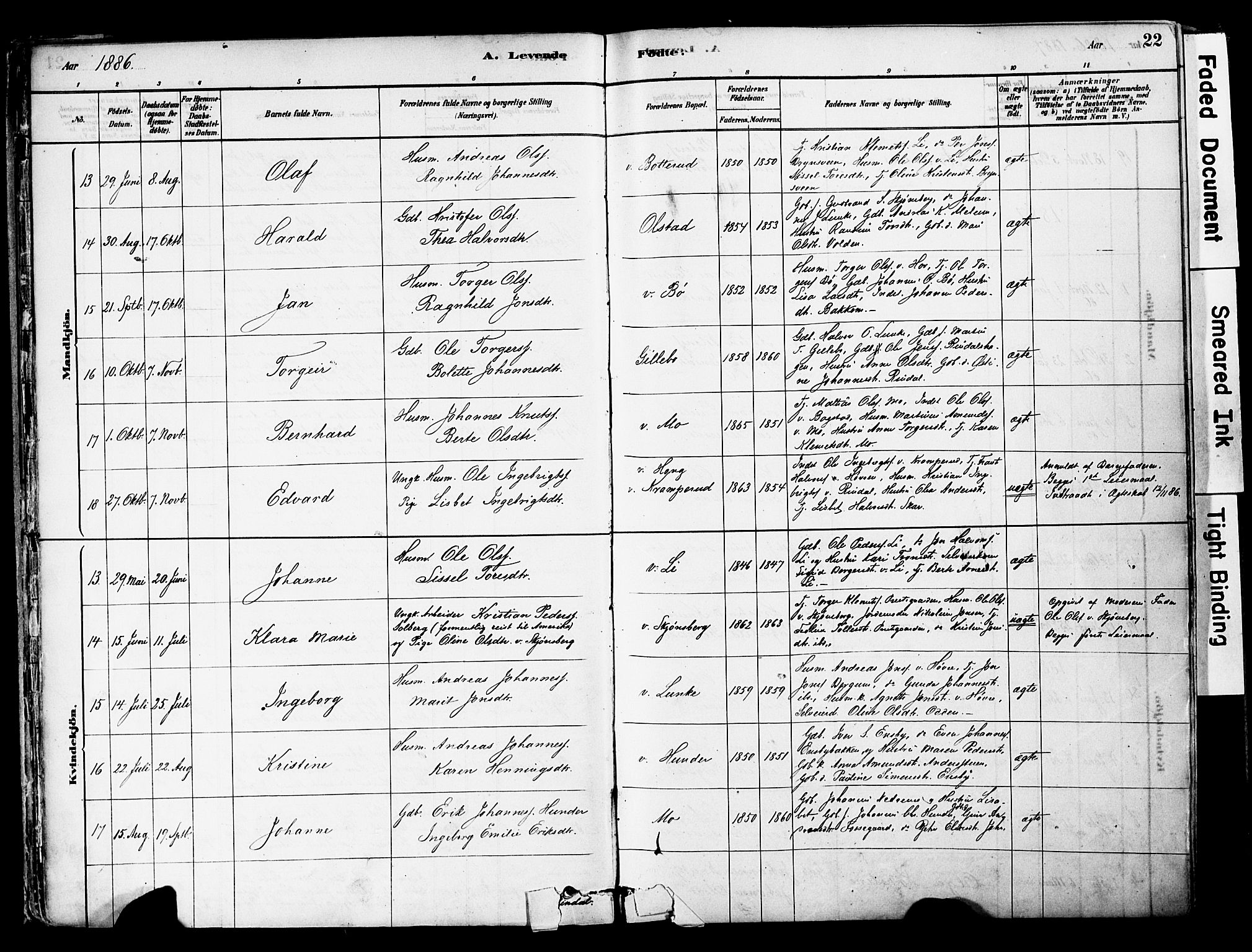 Øyer prestekontor, AV/SAH-PREST-084/H/Ha/Haa/L0008: Parish register (official) no. 8, 1878-1897, p. 22