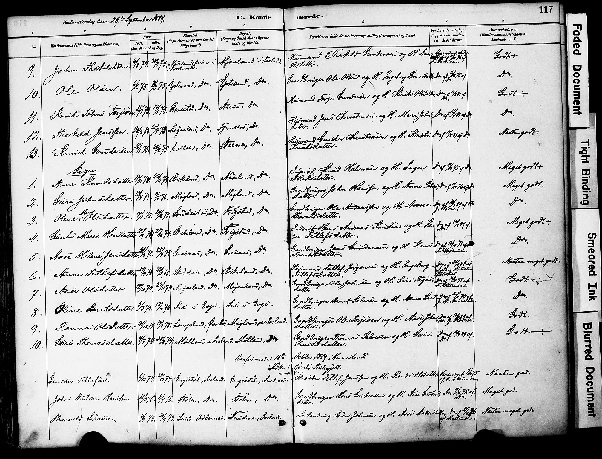 Evje sokneprestkontor, AV/SAK-1111-0008/F/Fa/Fac/L0003: Parish register (official) no. A 3, 1884-1909, p. 117