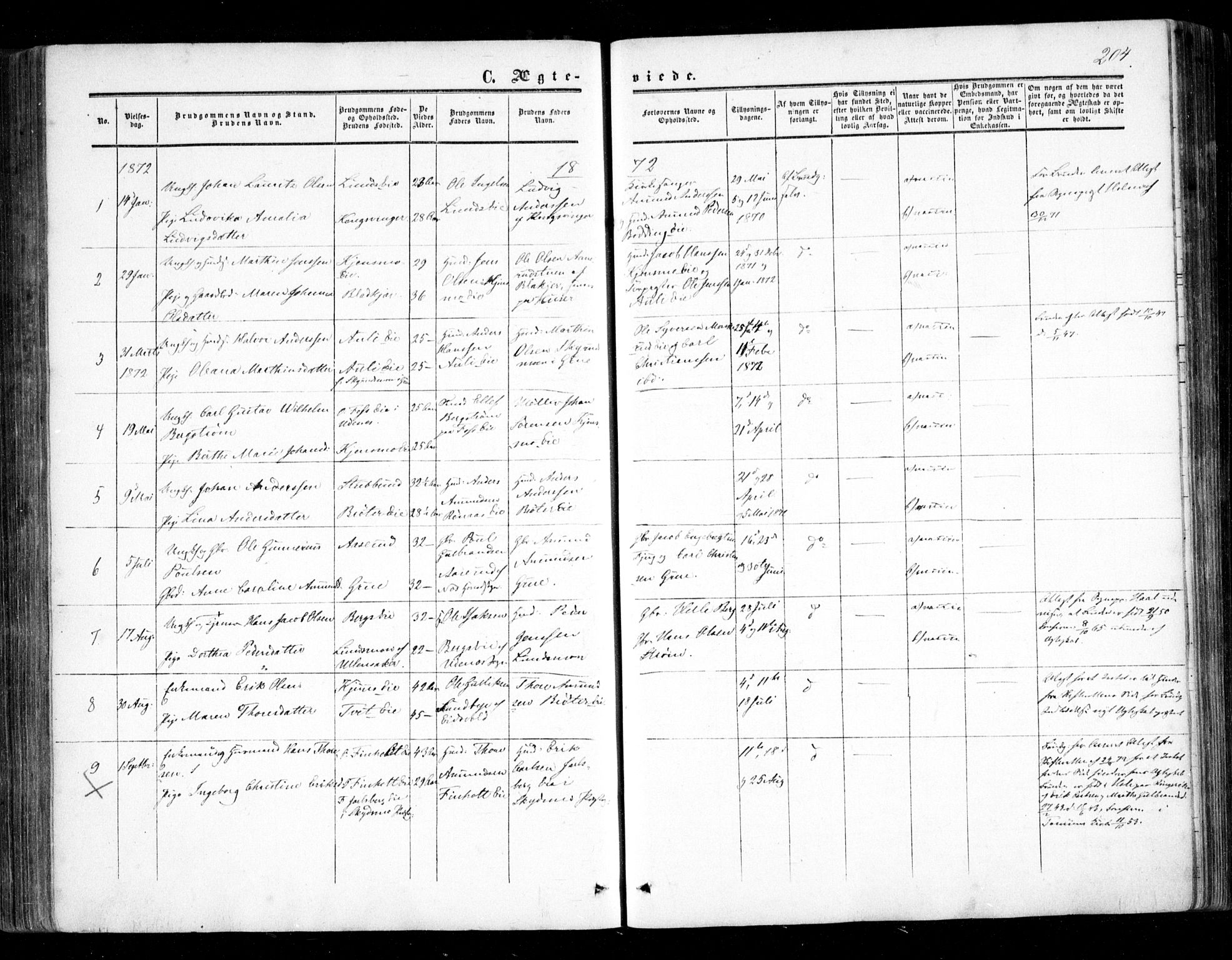Nes prestekontor Kirkebøker, SAO/A-10410/F/Fc/L0001: Parish register (official) no. III 1, 1859-1882, p. 204