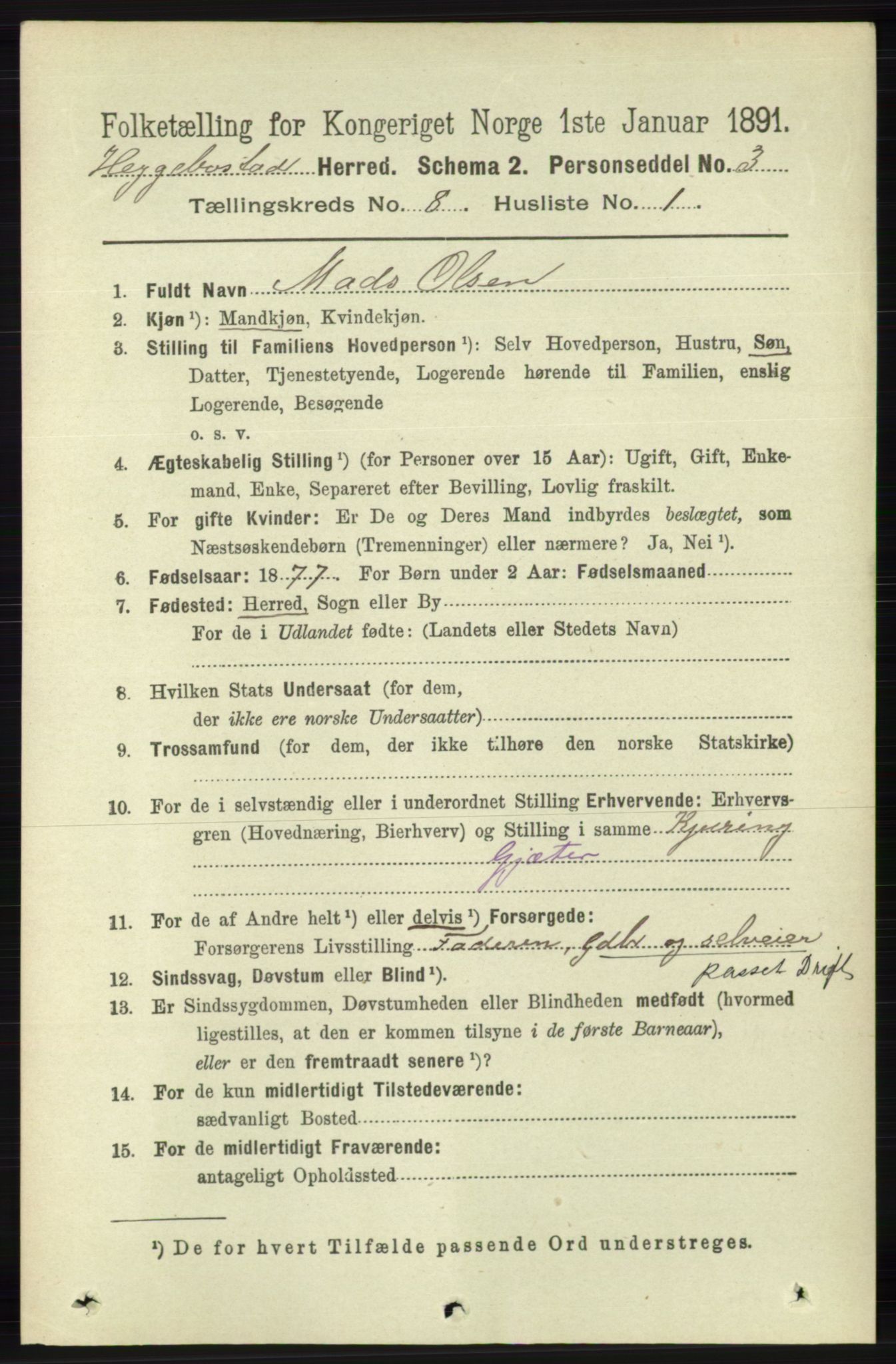 RA, 1891 census for 1034 Hægebostad, 1891, p. 2467