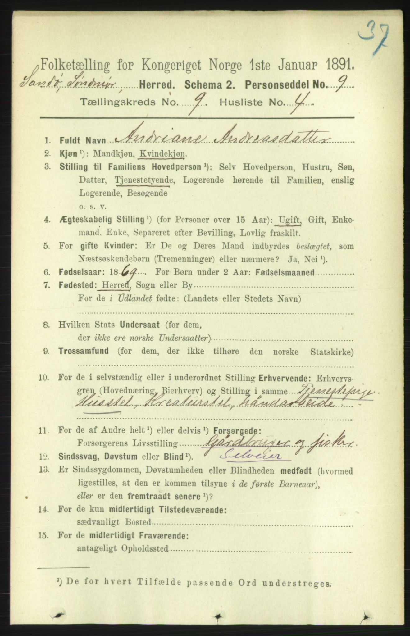 RA, 1891 census for 1514 Sande, 1891, p. 1521