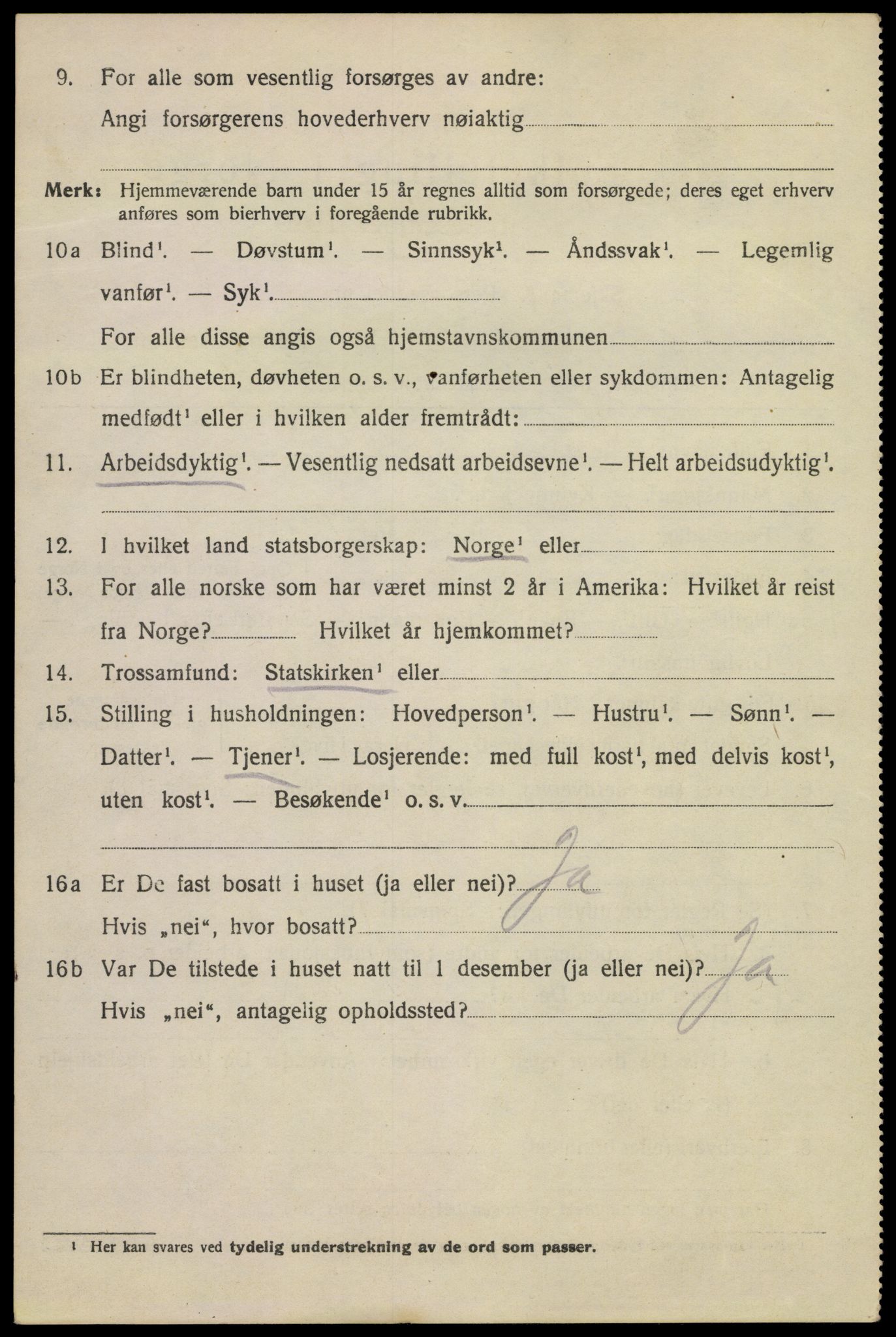 SAKO, 1920 census for Kragerø, 1920, p. 11046