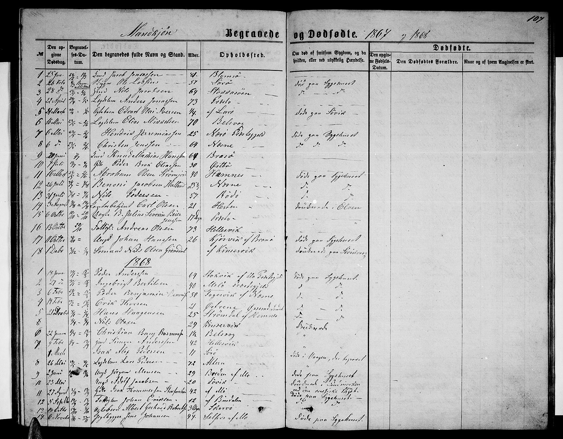 Ministerialprotokoller, klokkerbøker og fødselsregistre - Nordland, SAT/A-1459/830/L0461: Parish register (copy) no. 830C03, 1866-1881, p. 107