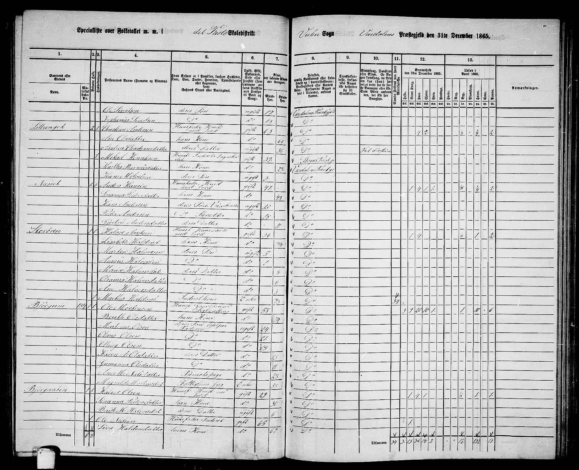 RA, 1865 census for Verdal, 1865, p. 196