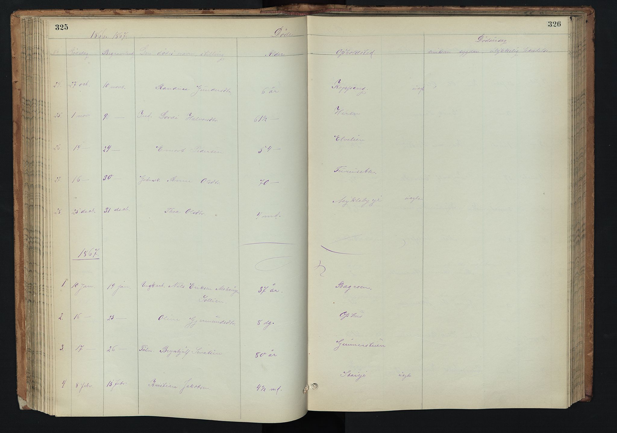 Stor-Elvdal prestekontor, AV/SAH-PREST-052/H/Ha/Hab/L0002: Parish register (copy) no. 2, 1860-1894, p. 325-326