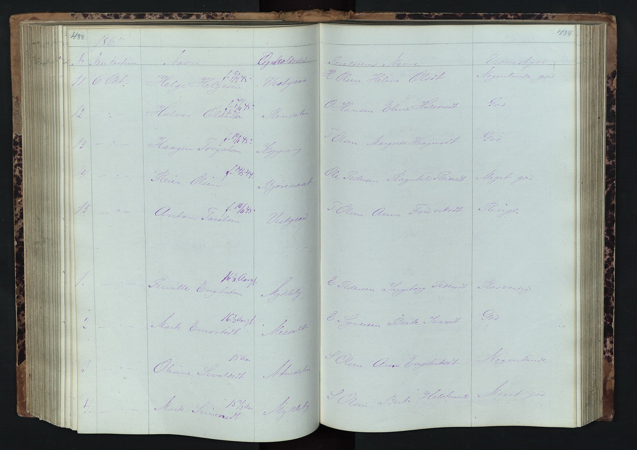 Stor-Elvdal prestekontor, SAH/PREST-052/H/Ha/Hab/L0001: Parish register (copy) no. 1 /1, 1860-1894, p. 433-434