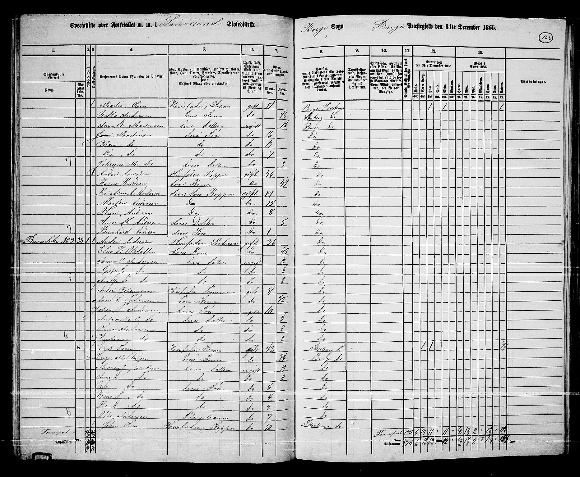 RA, 1865 census for Borge, 1865, p. 97