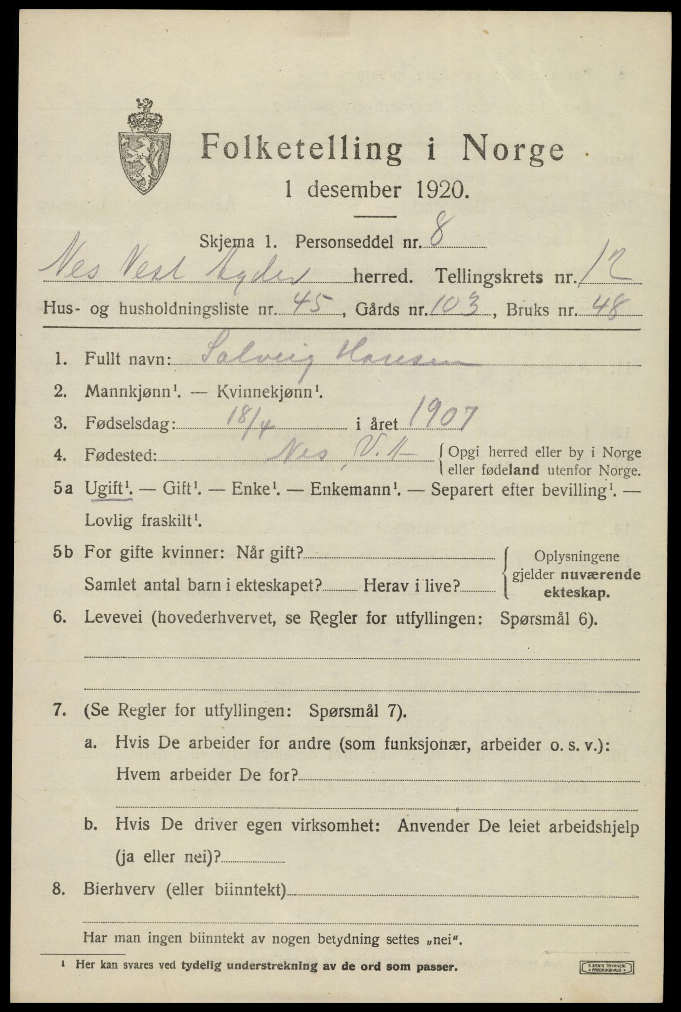 SAK, 1920 census for Nes (V-A), 1920, p. 4818