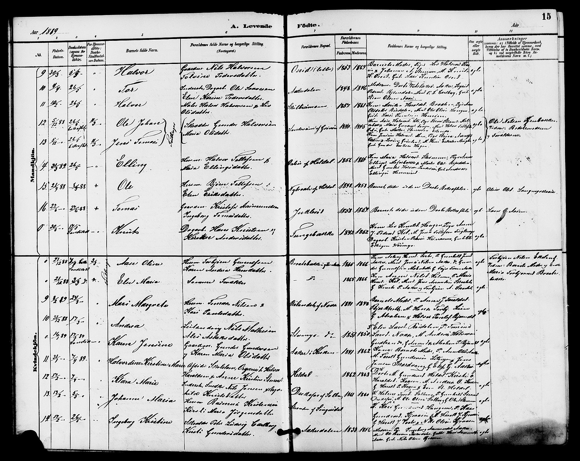 Drangedal kirkebøker, SAKO/A-258/G/Ga/L0003: Parish register (copy) no. I 3, 1887-1906, p. 15