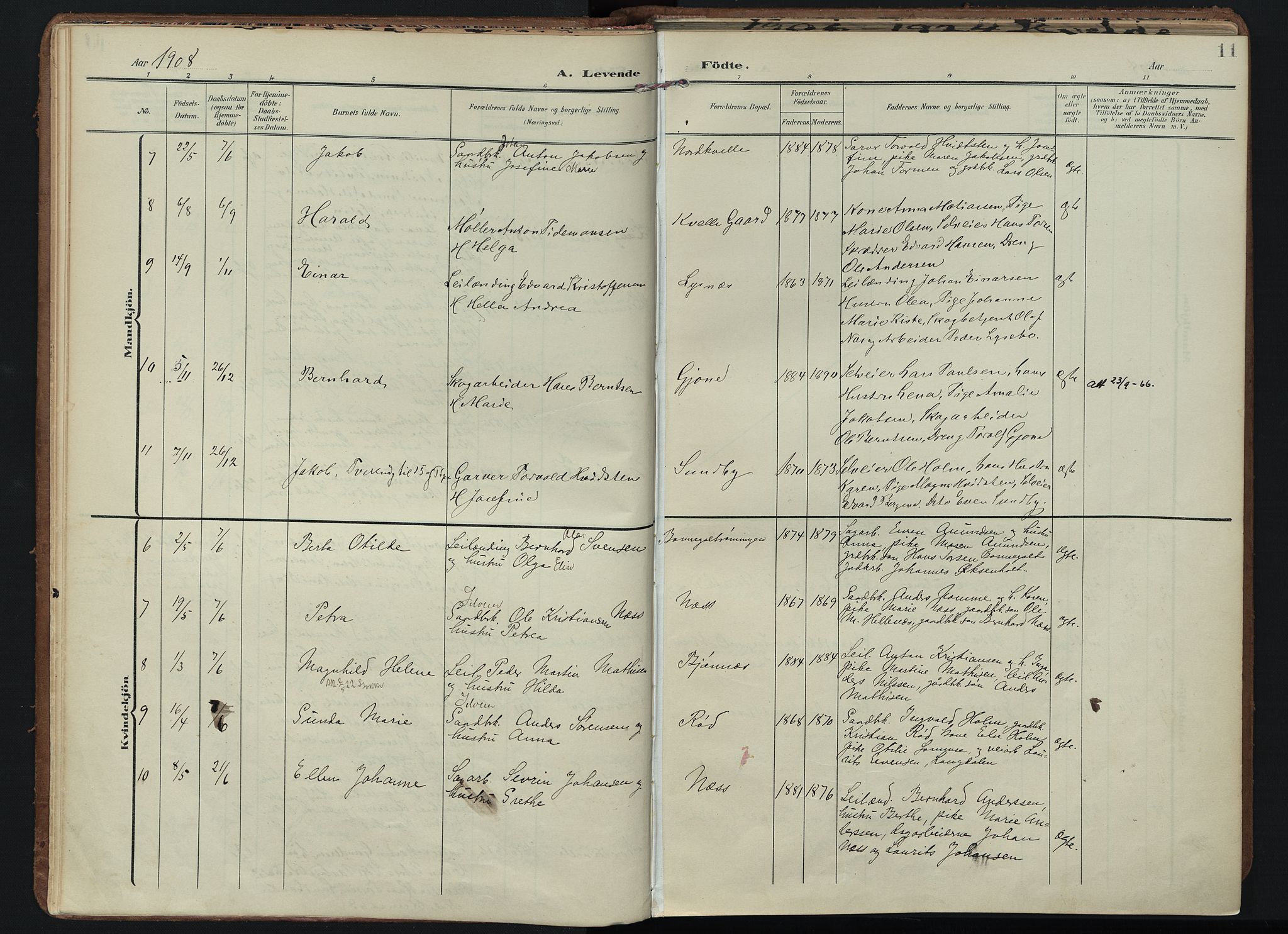 Hedrum kirkebøker, AV/SAKO-A-344/F/Fb/L0002: Parish register (official) no. II 2, 1906-1924, p. 11