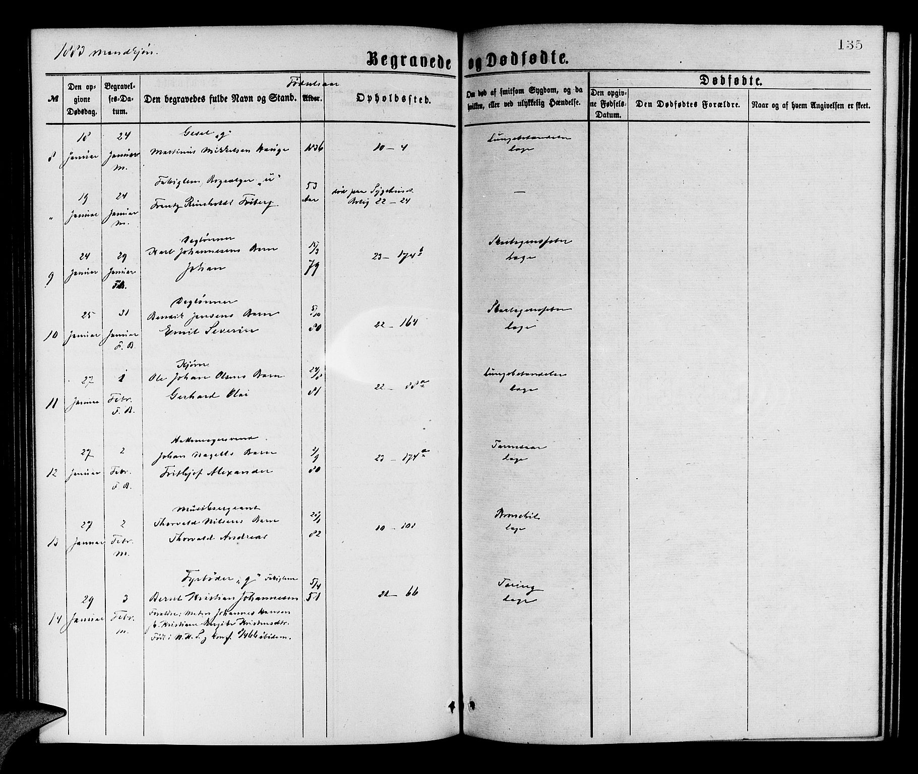 Korskirken sokneprestembete, AV/SAB-A-76101/H/Hab: Parish register (copy) no. E 3, 1871-1883, p. 135