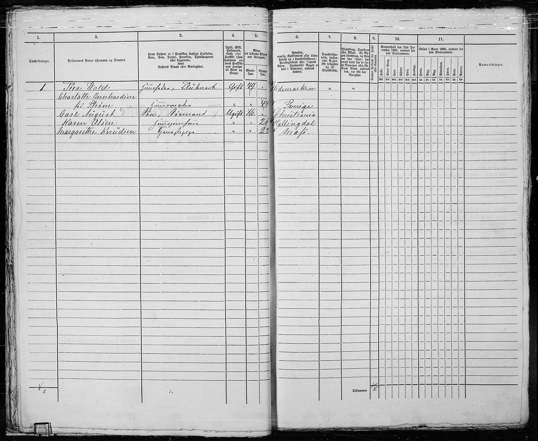 RA, 1865 census for Fredrikstad/Fredrikstad, 1865, p. 49