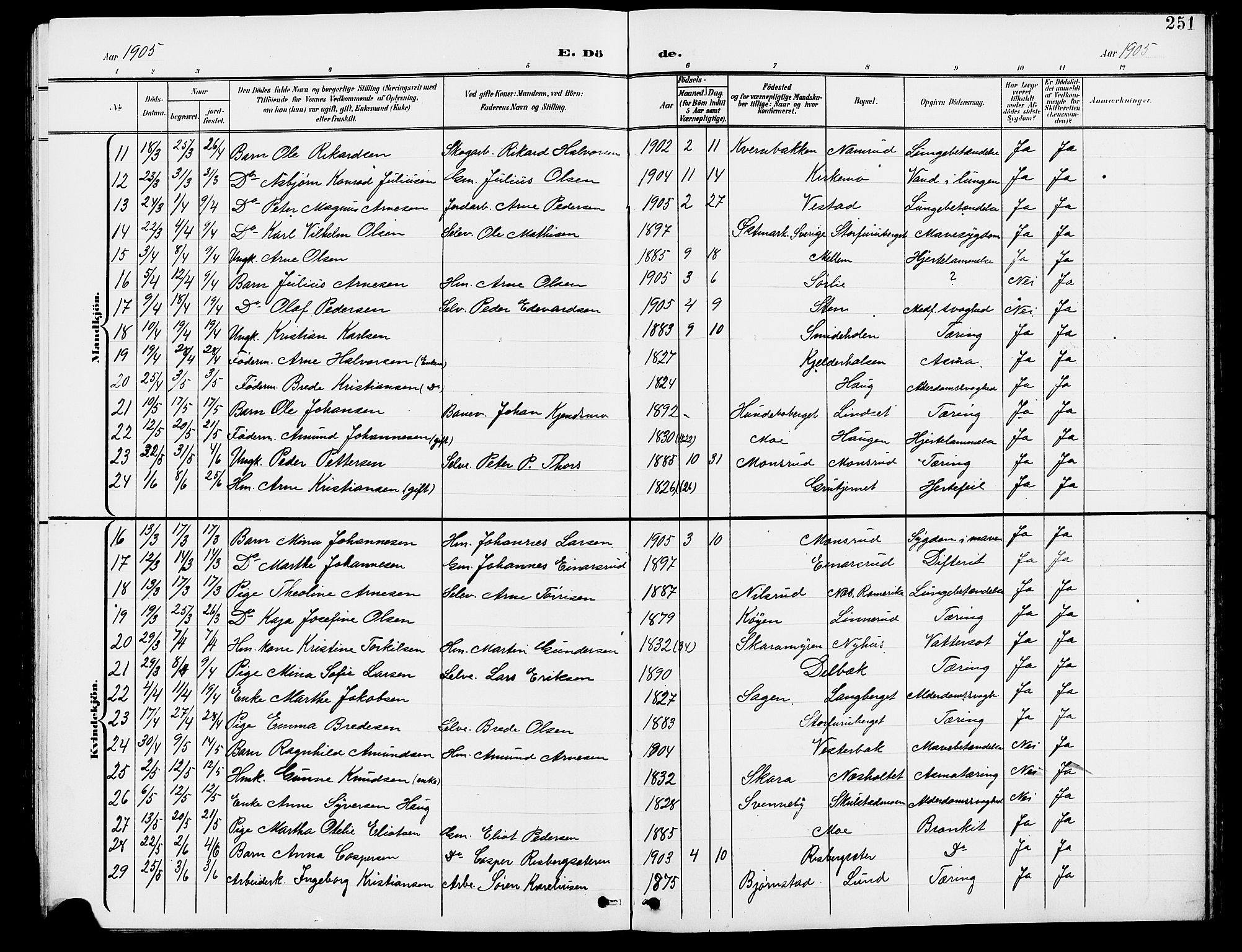 Grue prestekontor, AV/SAH-PREST-036/H/Ha/Hab/L0005: Parish register (copy) no. 5, 1900-1909, p. 251