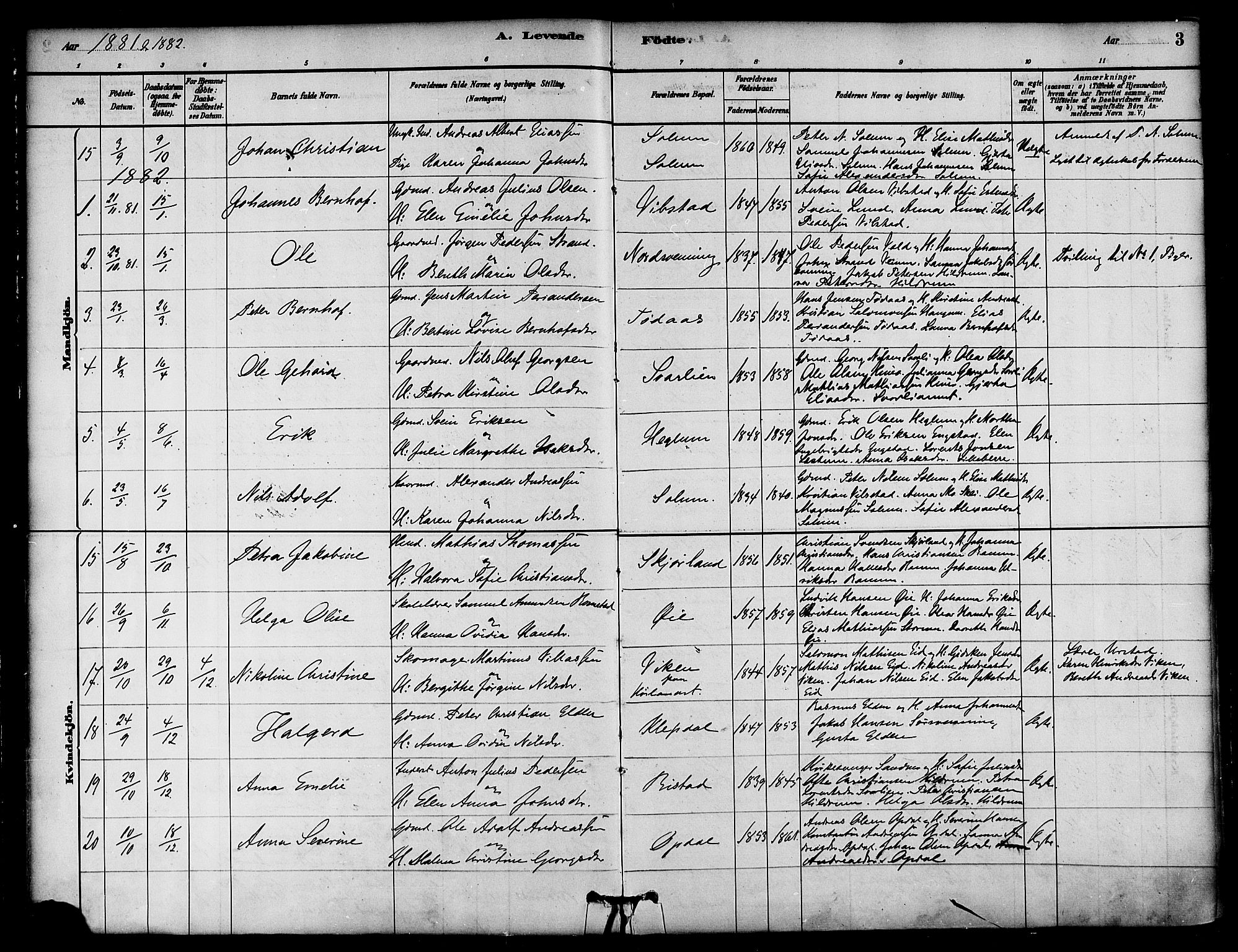 Ministerialprotokoller, klokkerbøker og fødselsregistre - Nord-Trøndelag, AV/SAT-A-1458/764/L0555: Parish register (official) no. 764A10, 1881-1896, p. 3