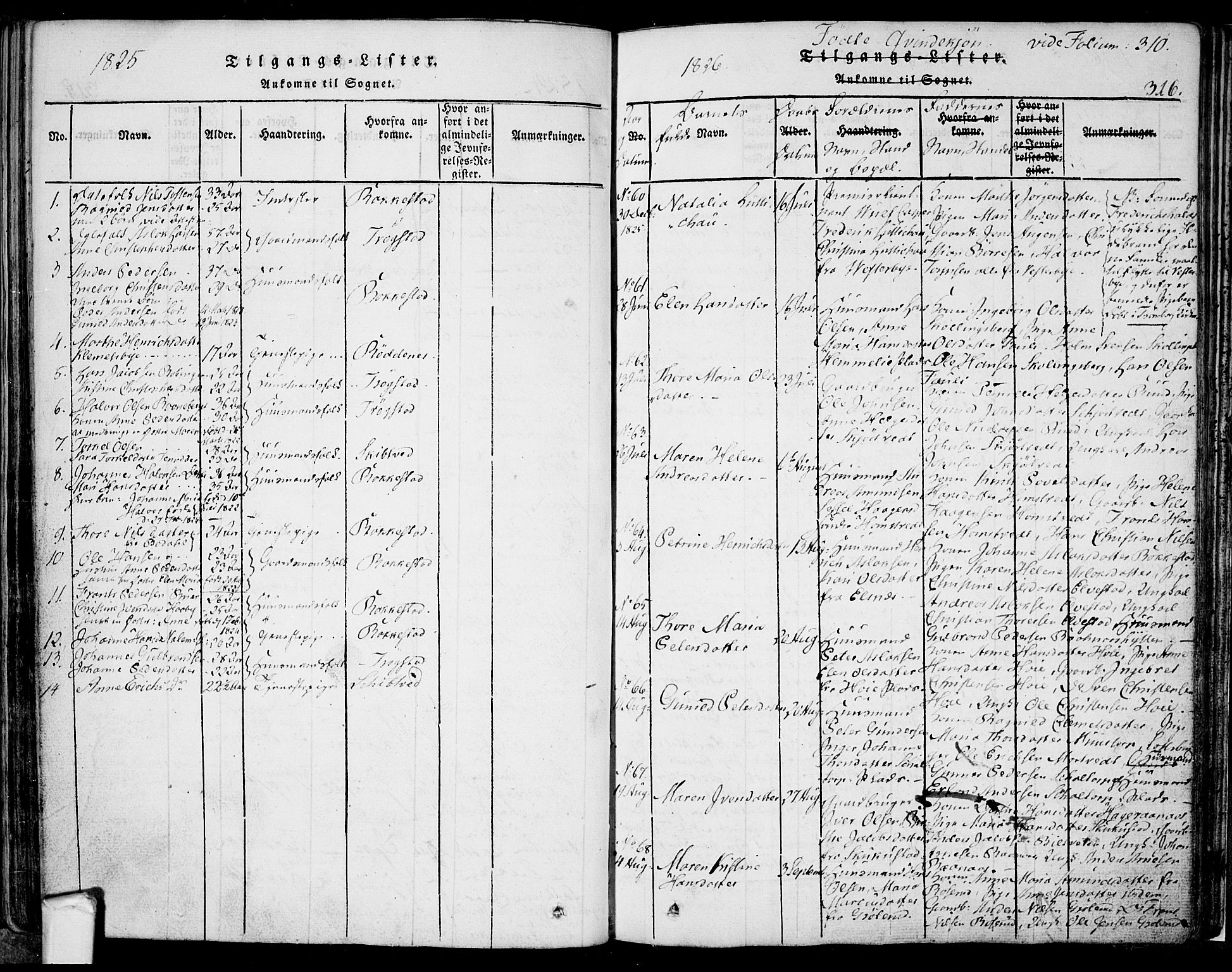 Eidsberg prestekontor Kirkebøker, SAO/A-10905/F/Fa/L0007: Parish register (official) no. I 7, 1814-1832, p. 316