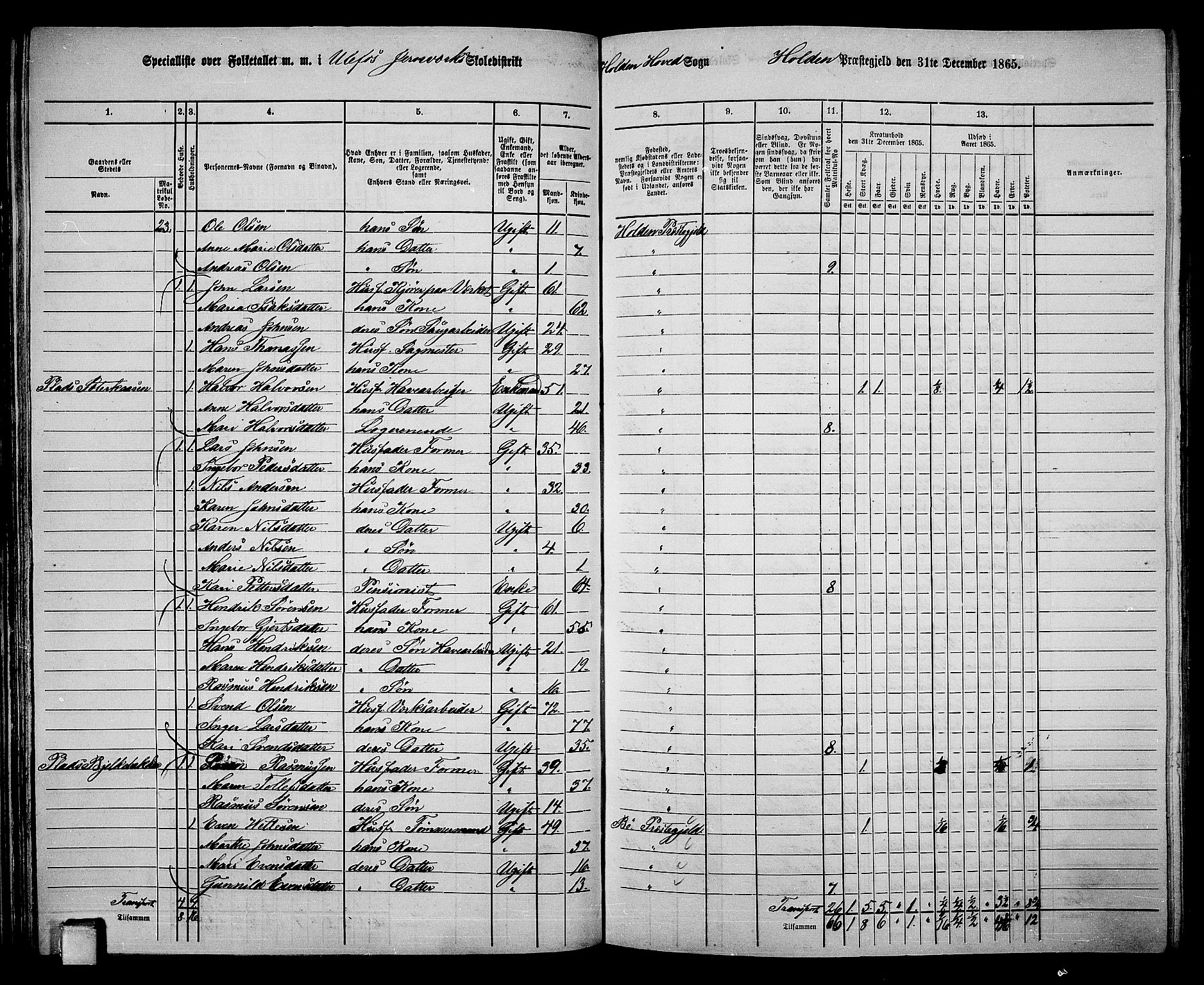 RA, 1865 census for Holla, 1865, p. 49