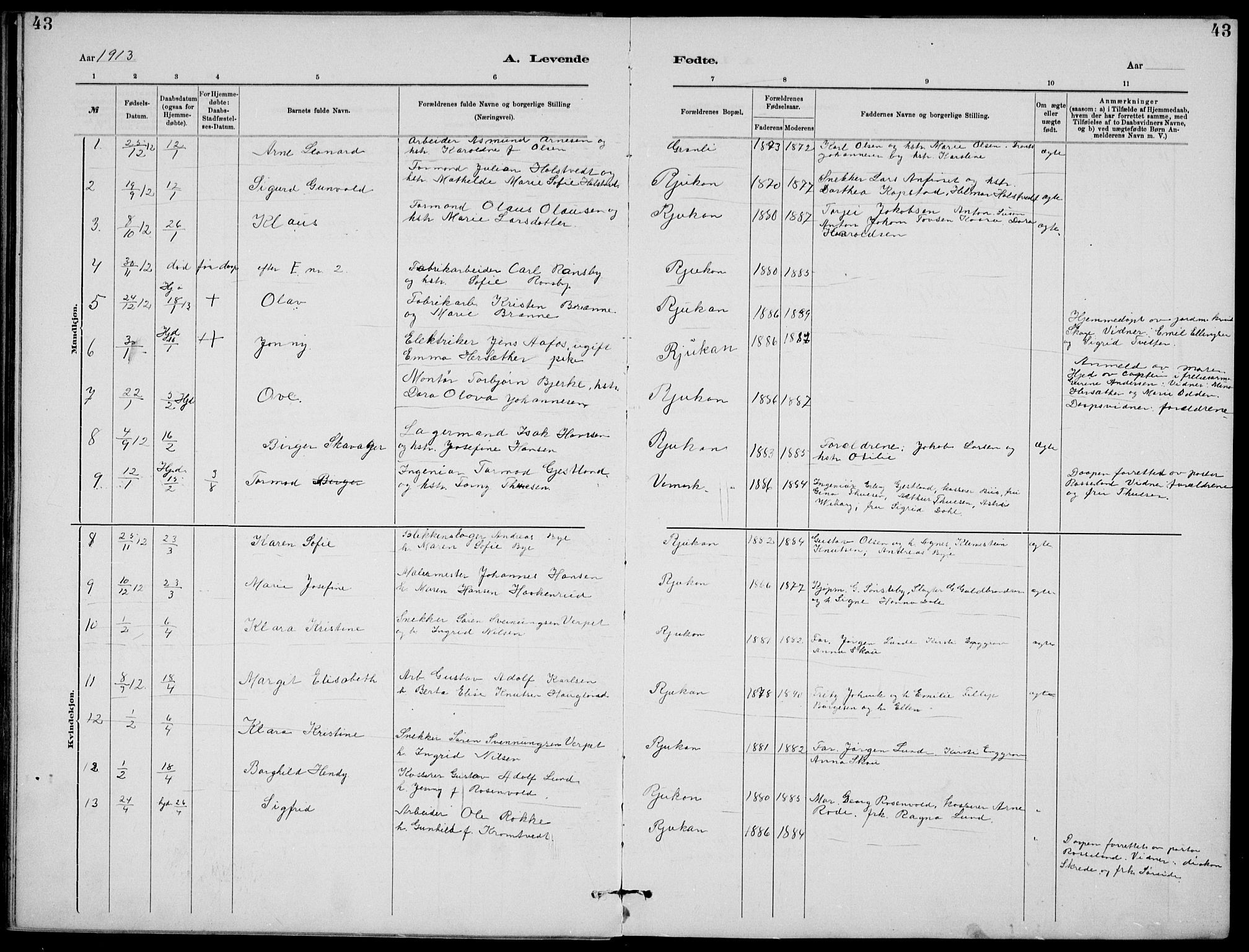 Rjukan kirkebøker, SAKO/A-294/G/Ga/L0001: Parish register (copy) no. 1, 1880-1914, p. 43
