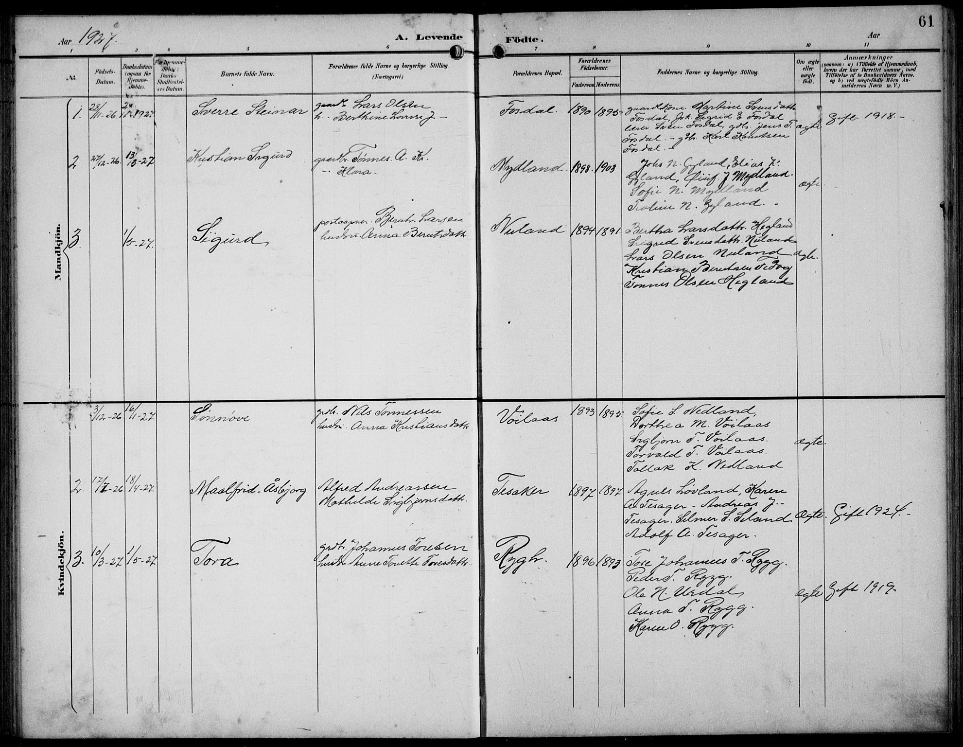 Bakke sokneprestkontor, SAK/1111-0002/F/Fb/Fbb/L0004: Parish register (copy) no. B 4, 1896-1927, p. 61