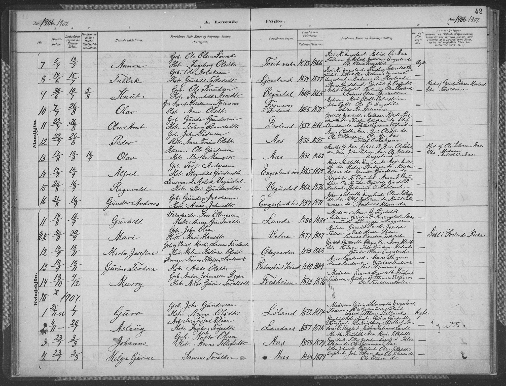 Herefoss sokneprestkontor, SAK/1111-0019/F/Fa/Fab/L0004: Parish register (official) no. A 4, 1887-1909, p. 42