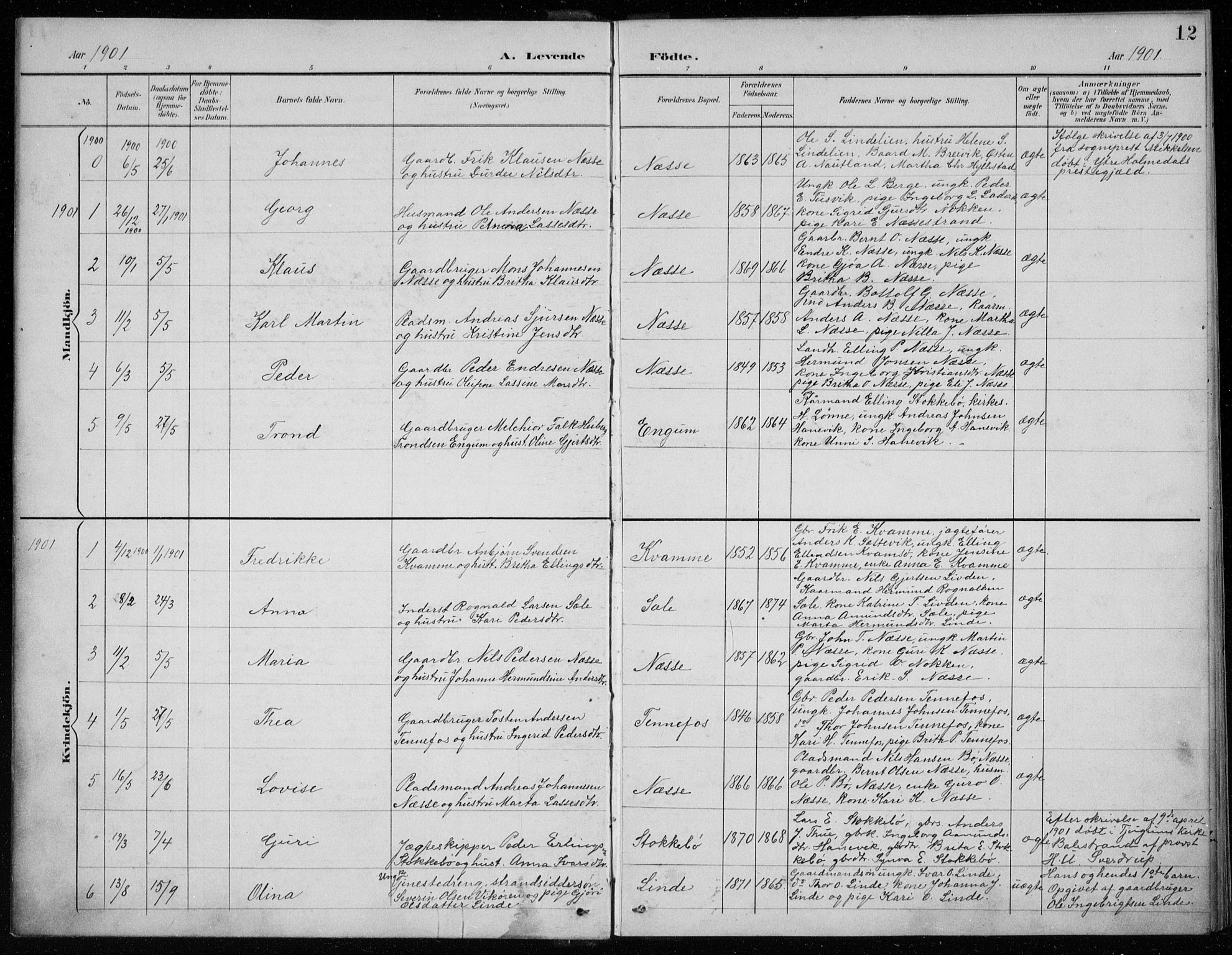 Balestrand sokneprestembete, SAB/A-79601/H/Hab/Habc/L0003: Parish register (copy) no. C 3, 1895-1927, p. 12