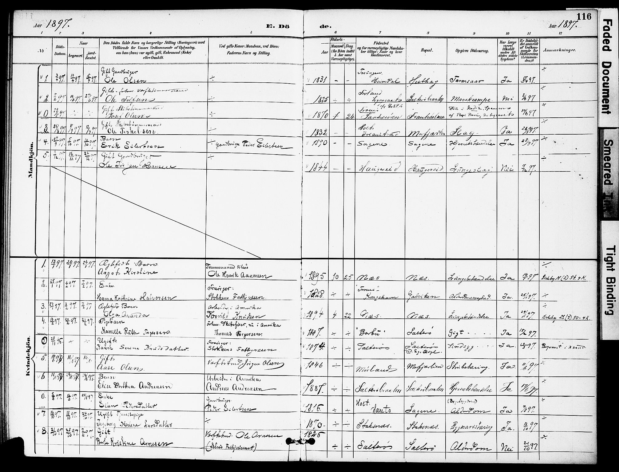 Austre Moland sokneprestkontor, SAK/1111-0001/F/Fa/Fab/L0002: Parish register (official) no. A 2, 1894-1919, p. 116