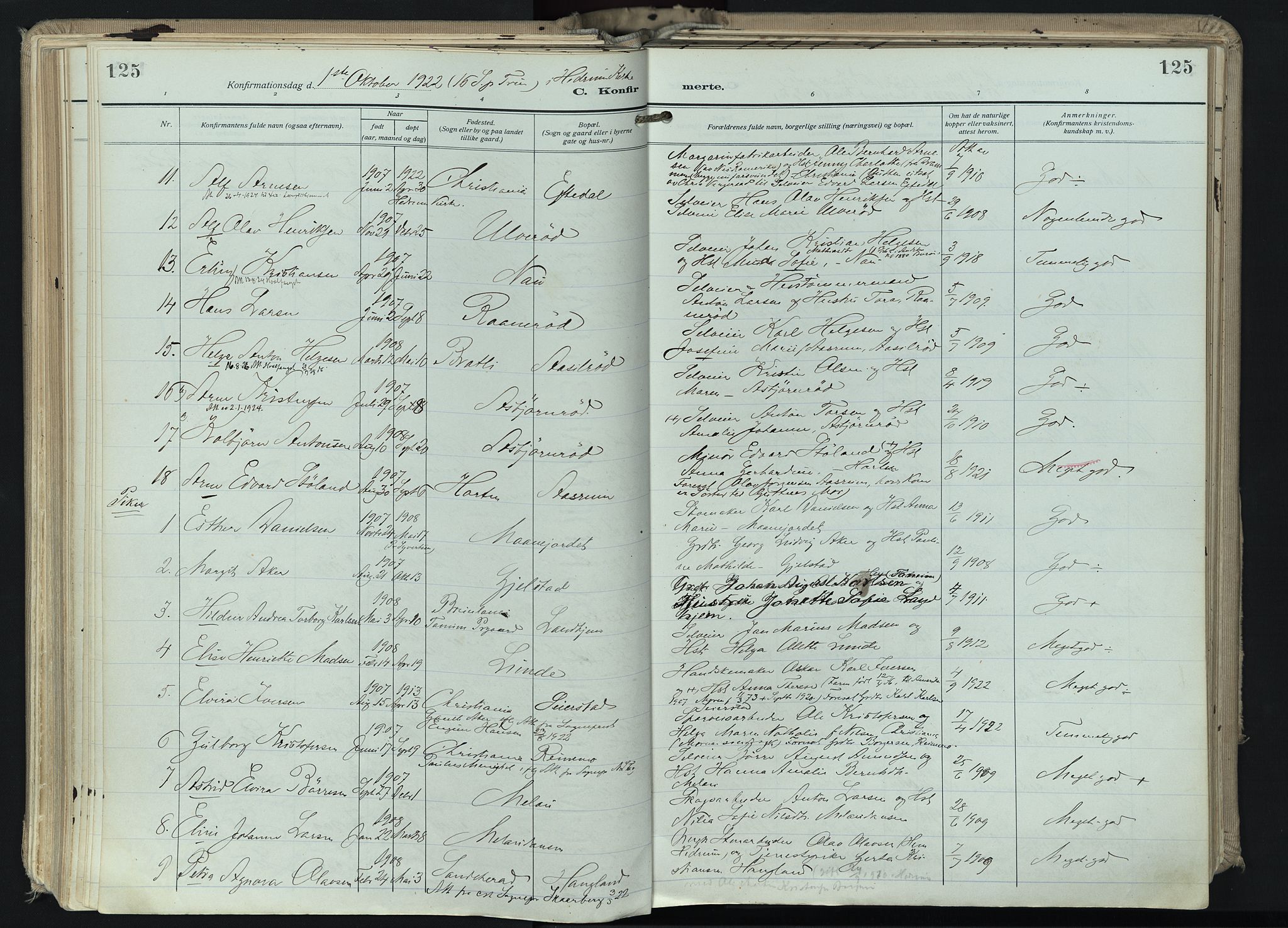 Hedrum kirkebøker, AV/SAKO-A-344/F/Fa/L0011: Parish register (official) no. I 11, 1919-1933, p. 125