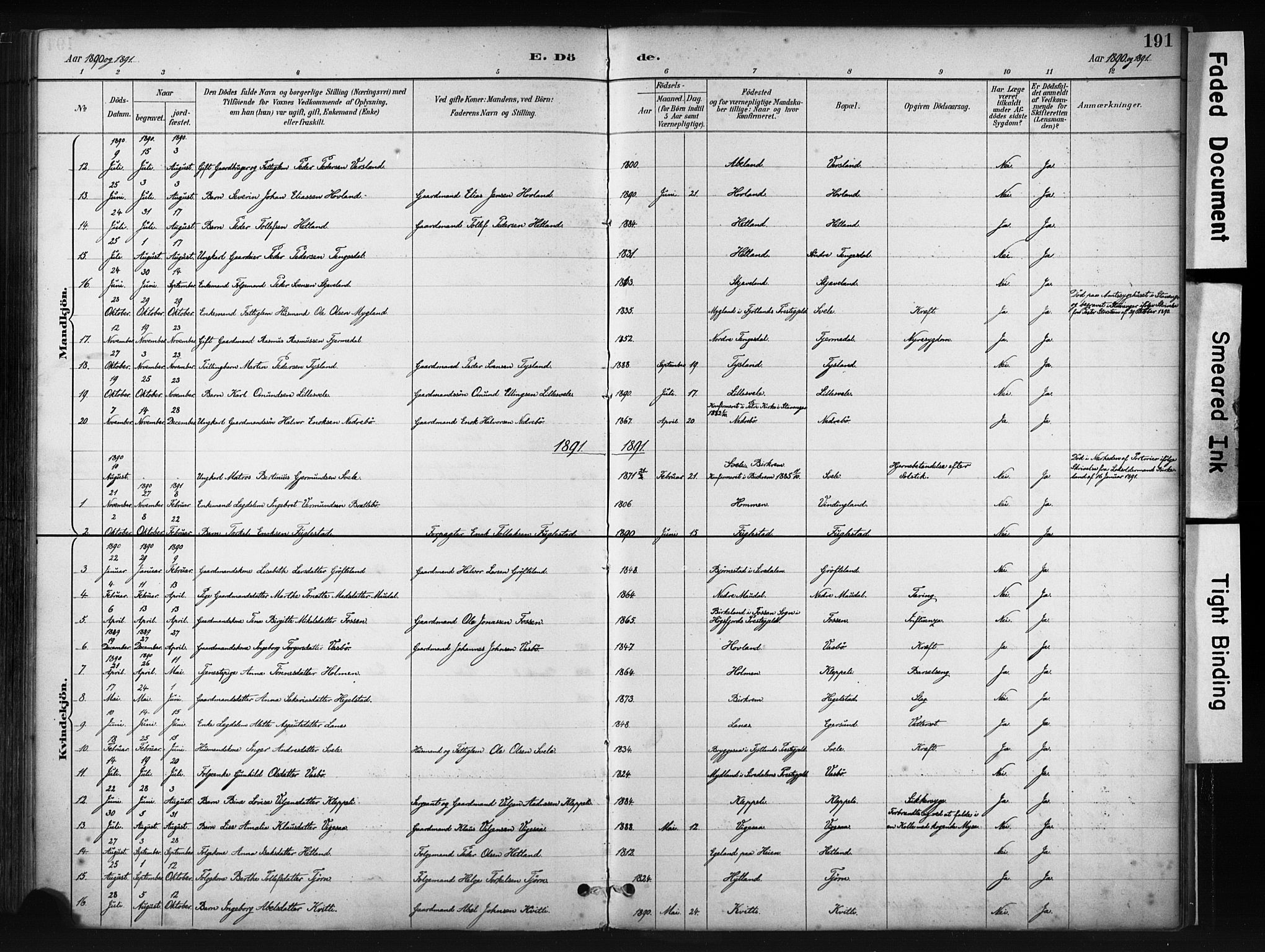 Helleland sokneprestkontor, AV/SAST-A-101810: Parish register (official) no. A 9, 1887-1908, p. 191