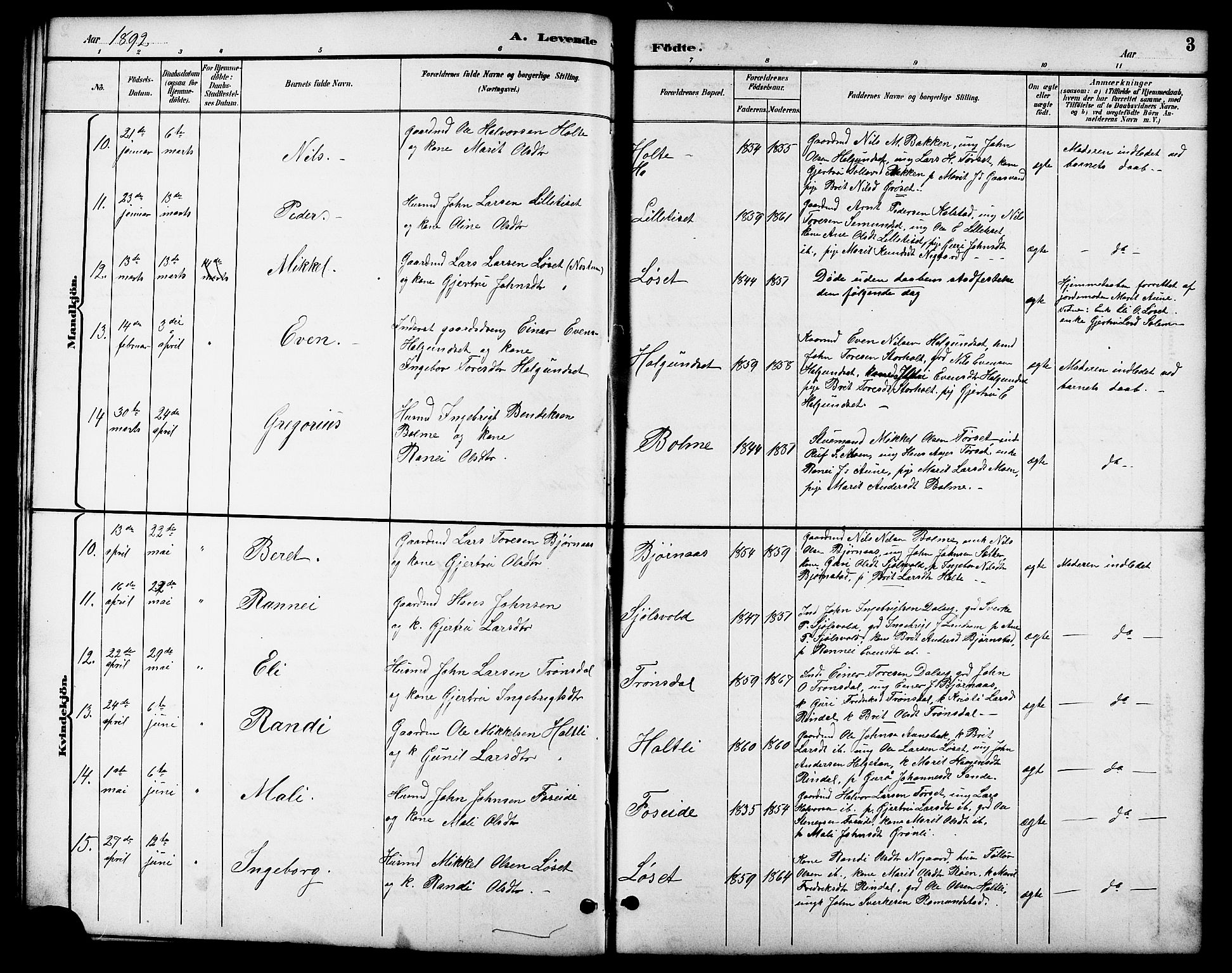 Ministerialprotokoller, klokkerbøker og fødselsregistre - Møre og Romsdal, AV/SAT-A-1454/598/L1078: Parish register (copy) no. 598C03, 1892-1909, p. 3