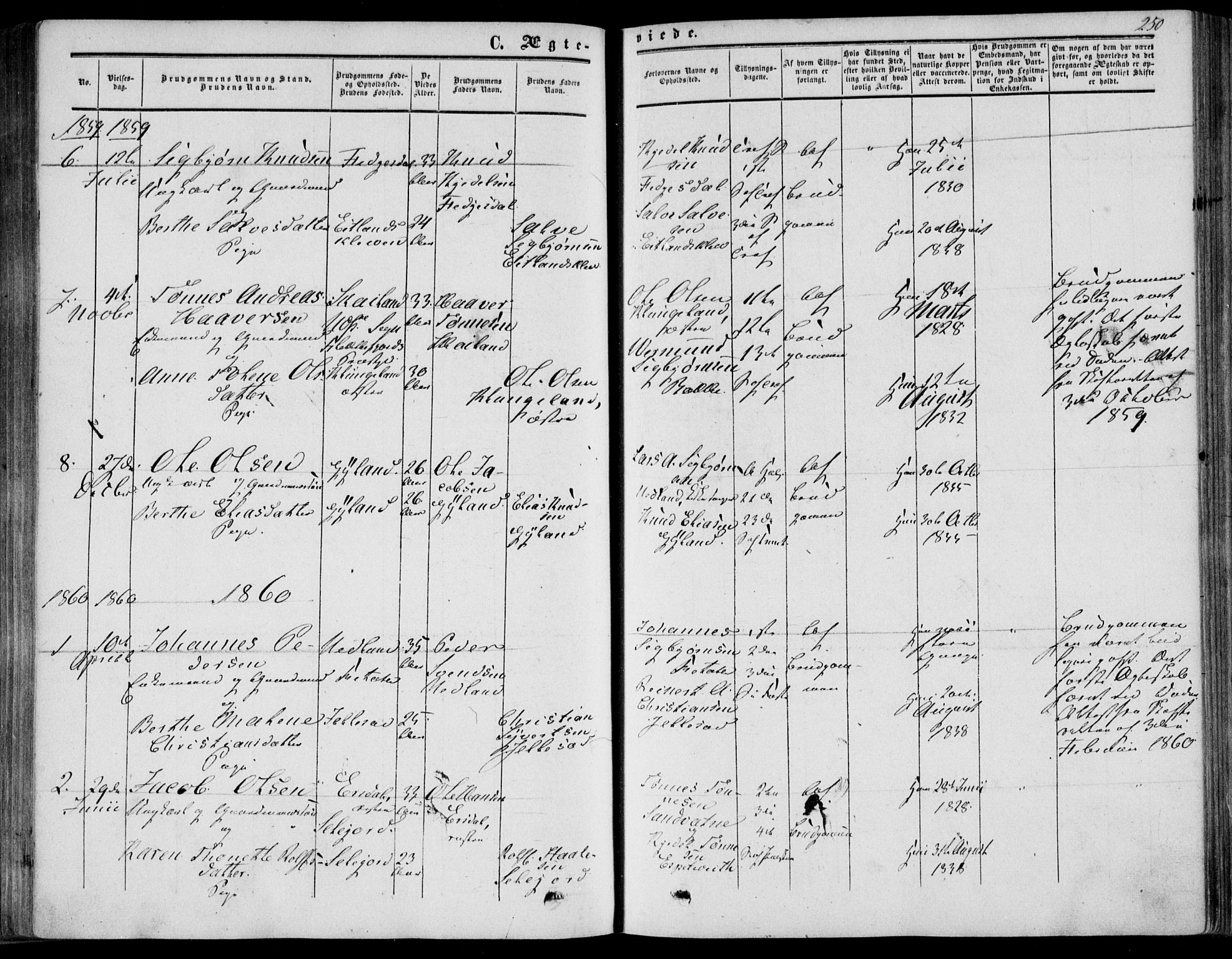 Bakke sokneprestkontor, SAK/1111-0002/F/Fa/Fab/L0002: Parish register (official) no. A 2, 1855-1884, p. 250