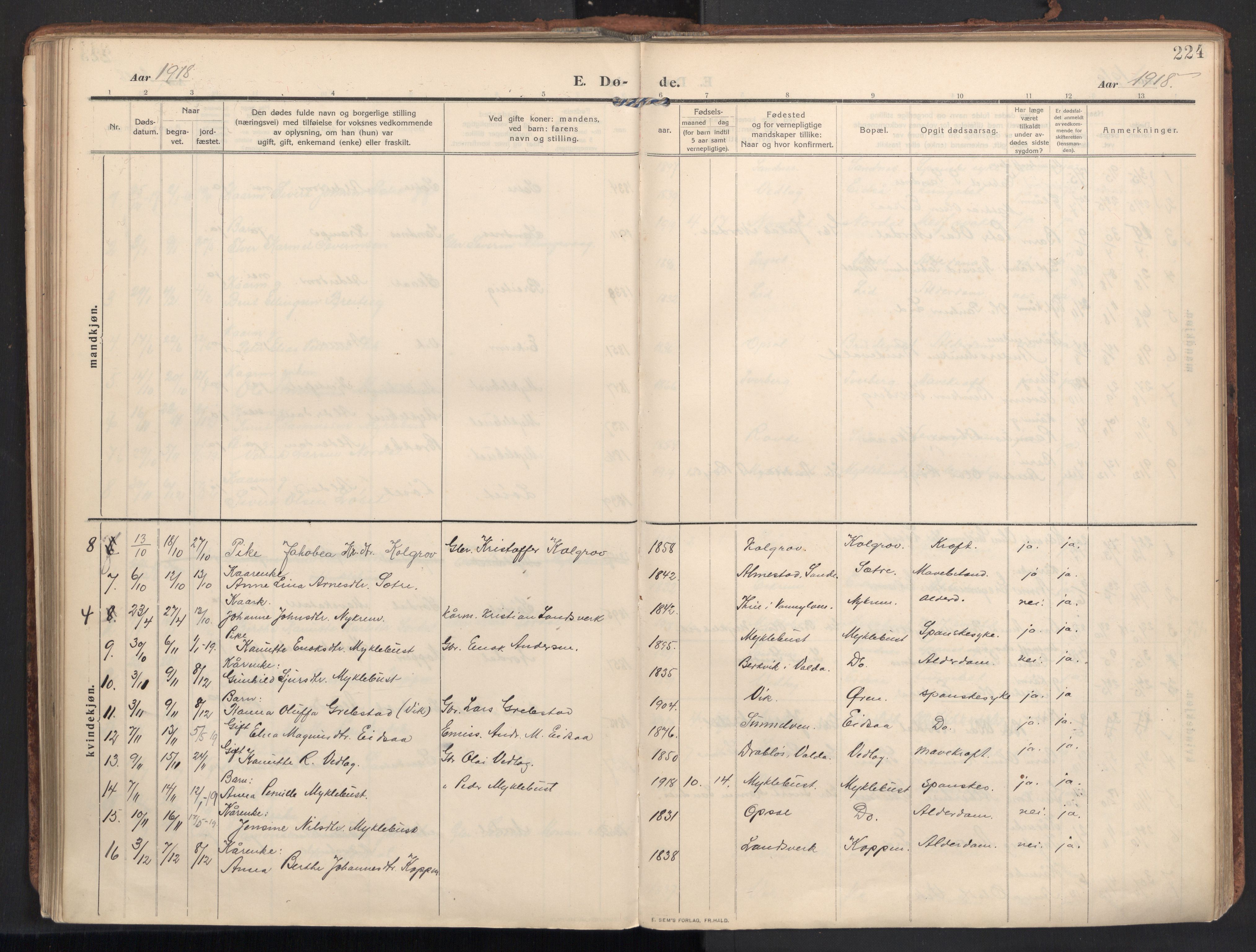 Ministerialprotokoller, klokkerbøker og fødselsregistre - Møre og Romsdal, AV/SAT-A-1454/502/L0026: Parish register (official) no. 502A04, 1909-1933, p. 224