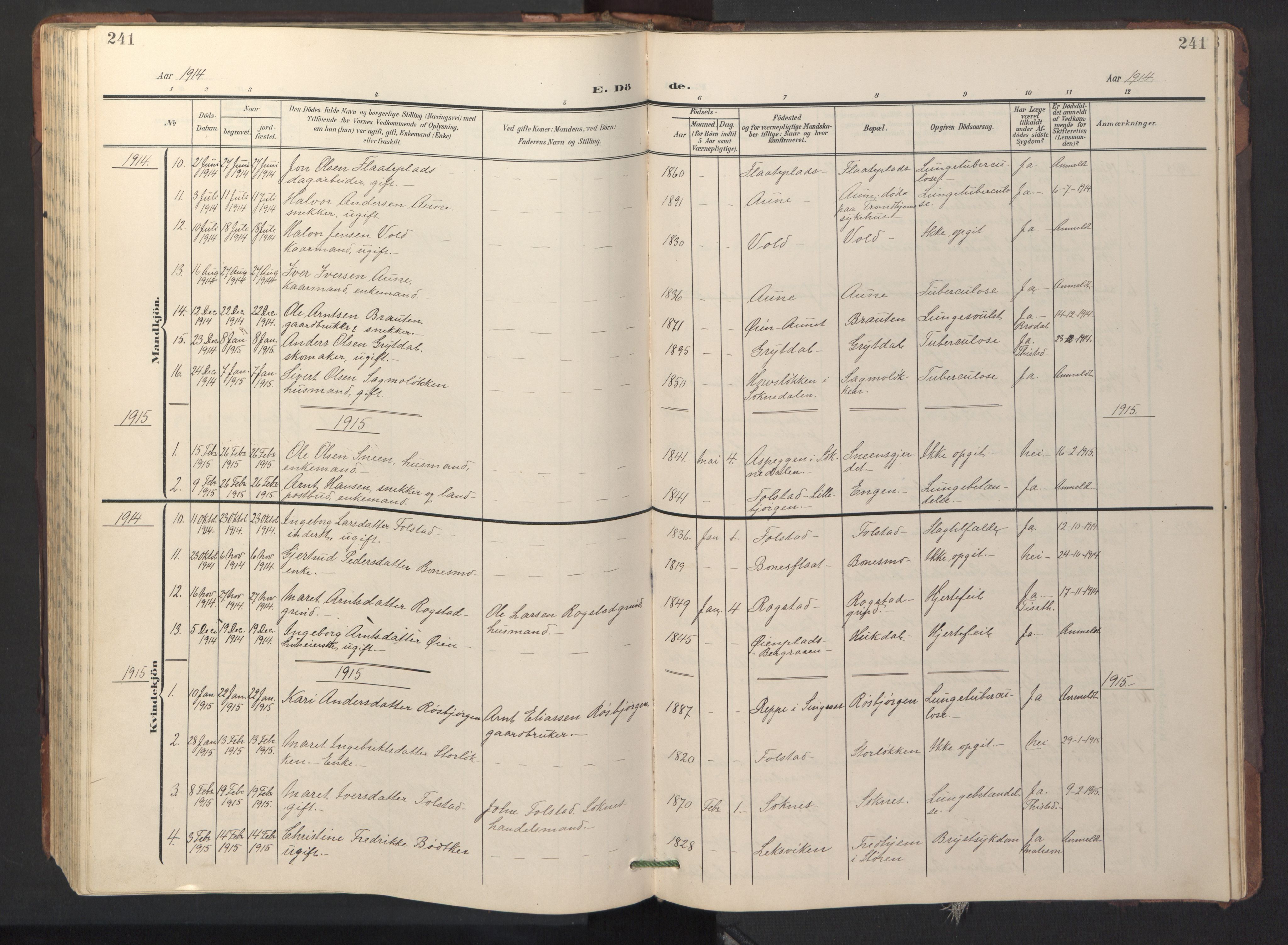 Ministerialprotokoller, klokkerbøker og fødselsregistre - Sør-Trøndelag, SAT/A-1456/687/L1019: Parish register (copy) no. 687C03, 1904-1931, p. 241