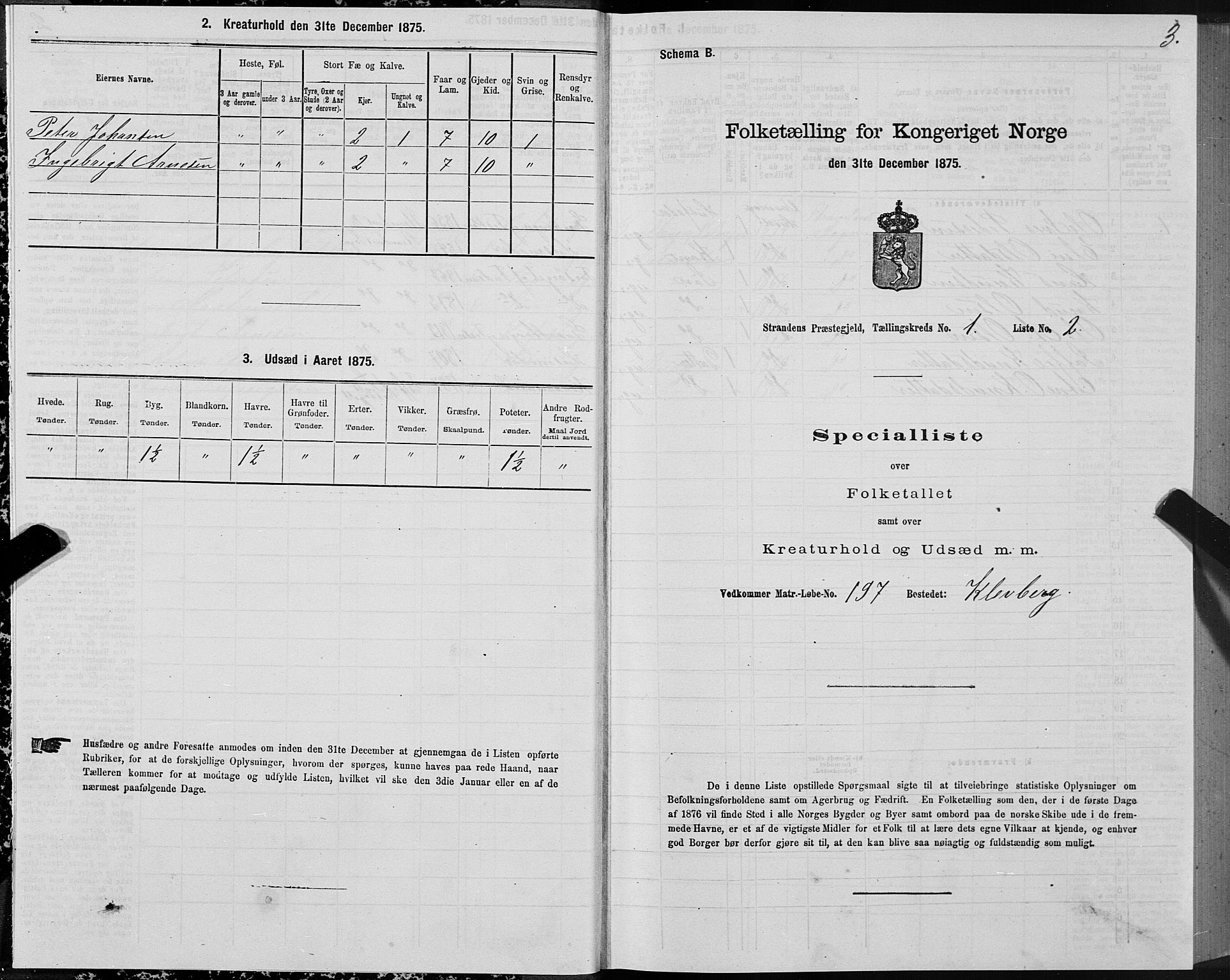 SAT, 1875 census for 1525P Stranda, 1875, p. 1003