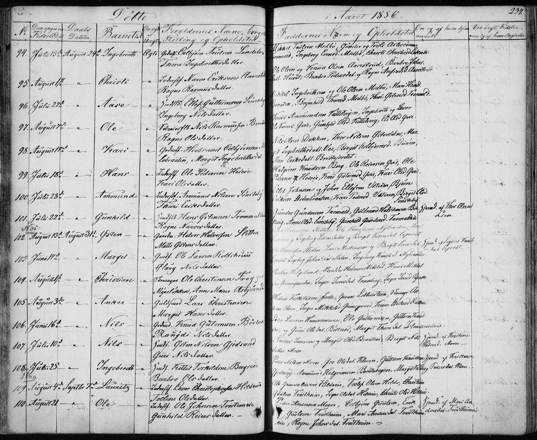 Nes kirkebøker, AV/SAKO-A-236/F/Fa/L0009: Parish register (official) no. 9, 1834-1863, p. 234