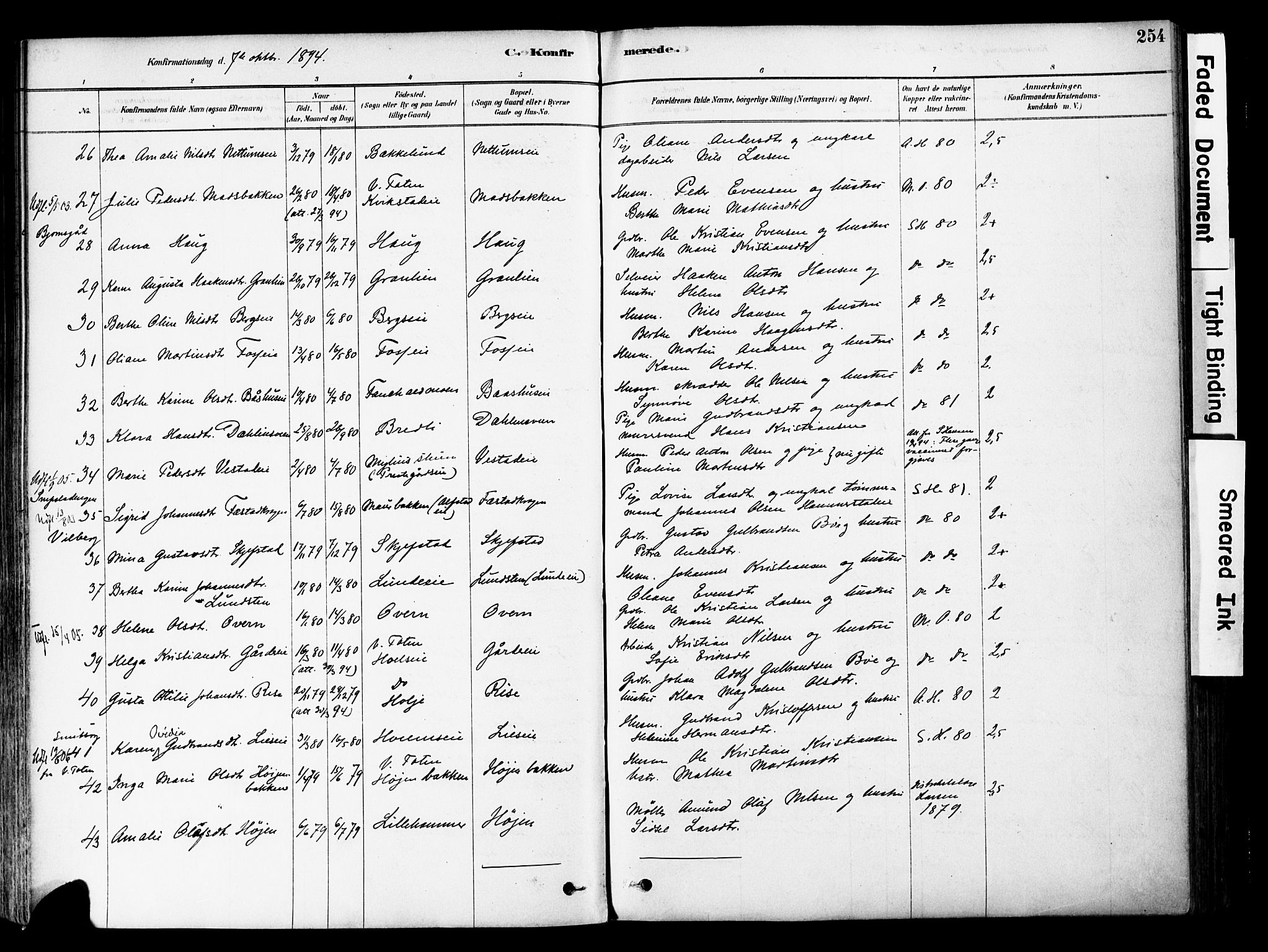 Østre Toten prestekontor, AV/SAH-PREST-104/H/Ha/Haa/L0006: Parish register (official) no. 6 /1, 1878-1896, p. 254