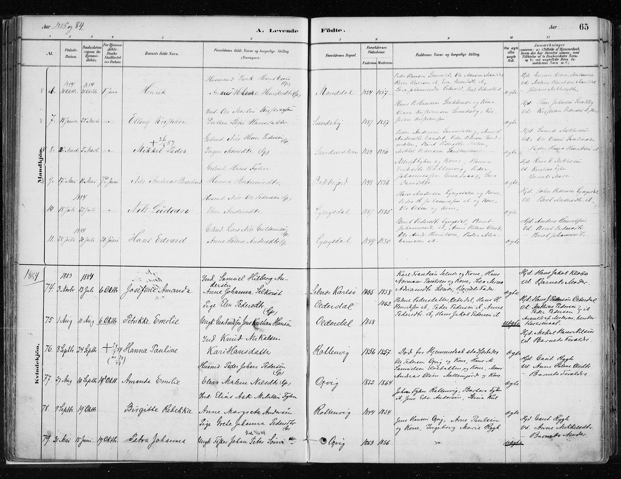 Lyngen sokneprestembete, AV/SATØ-S-1289/H/He/Hea/L0007kirke: Parish register (official) no. 7, 1879-1890, p. 65