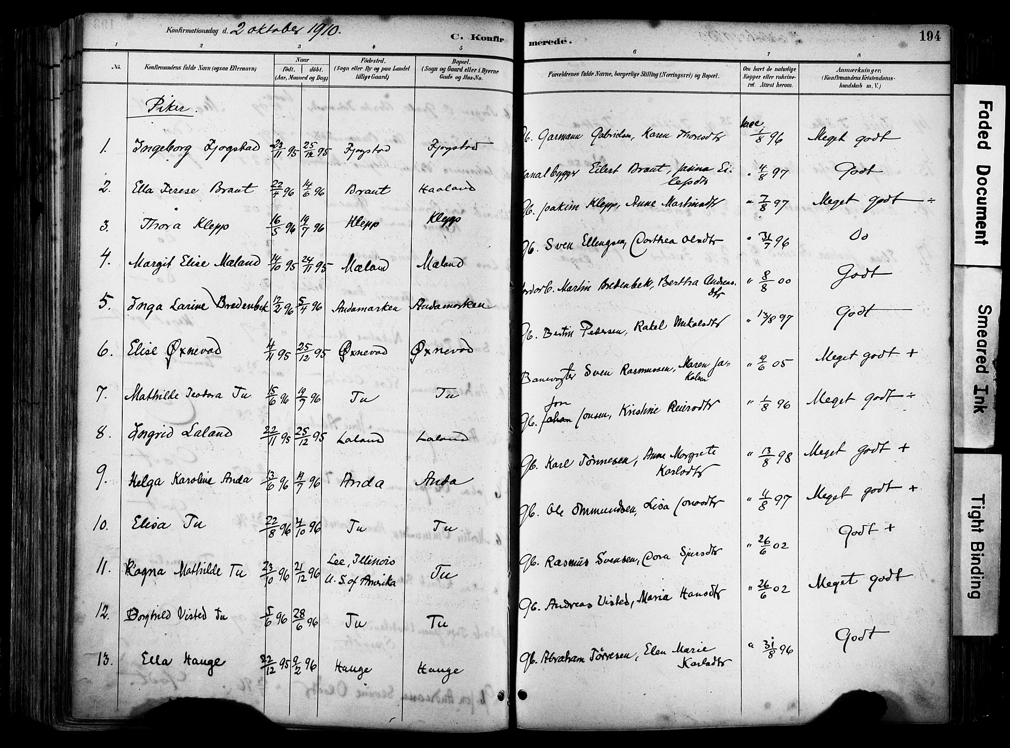 Klepp sokneprestkontor, AV/SAST-A-101803/001/3/30BA/L0009: Parish register (official) no. A 7, 1886-1915, p. 194