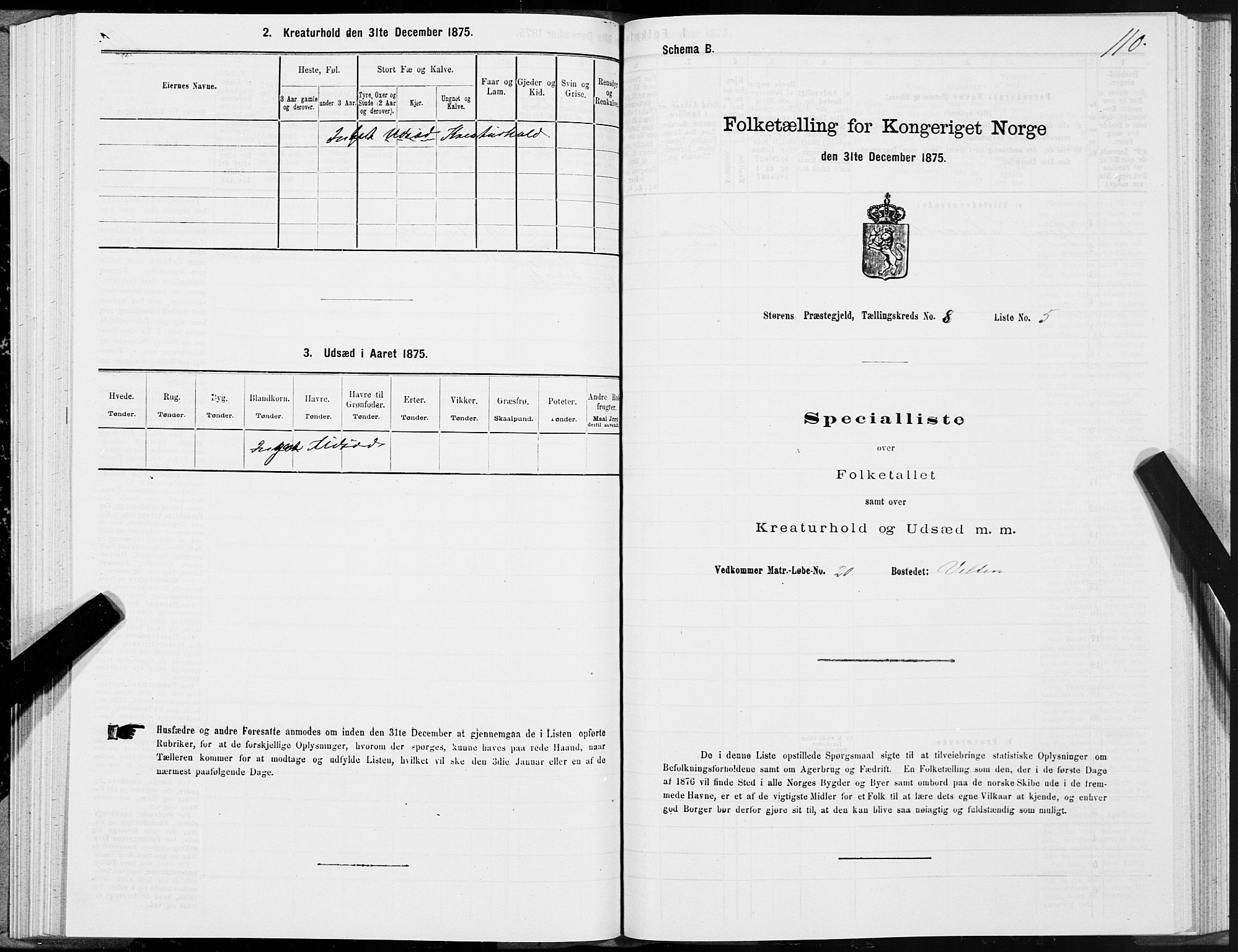 SAT, 1875 census for 1648P Støren, 1875, p. 4110