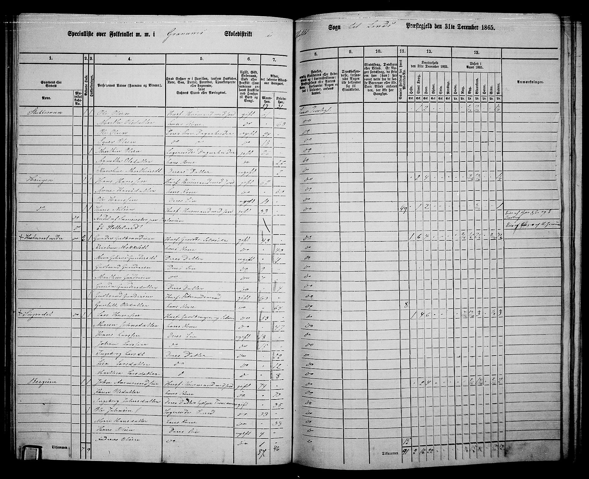 RA, 1865 census for Land, 1865, p. 371