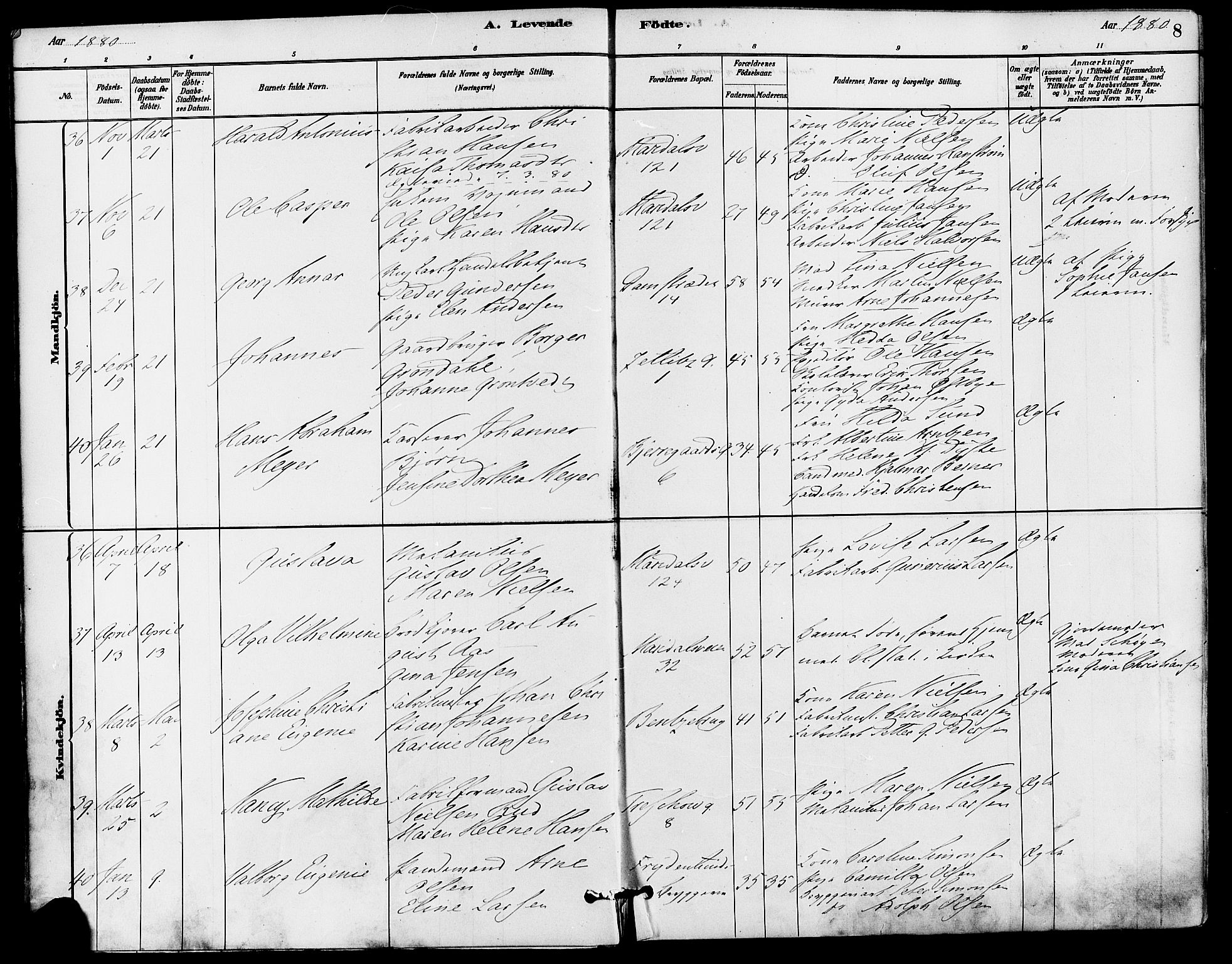 Gamle Aker prestekontor Kirkebøker, SAO/A-10617a/F/L0006: Parish register (official) no. 6, 1880-1887, p. 8