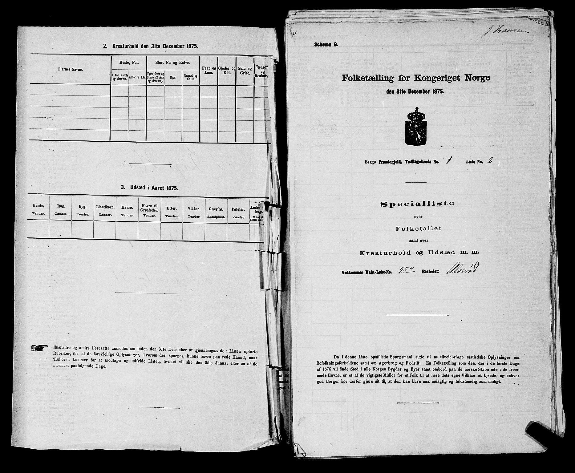 RA, 1875 census for 0116P Berg, 1875, p. 34