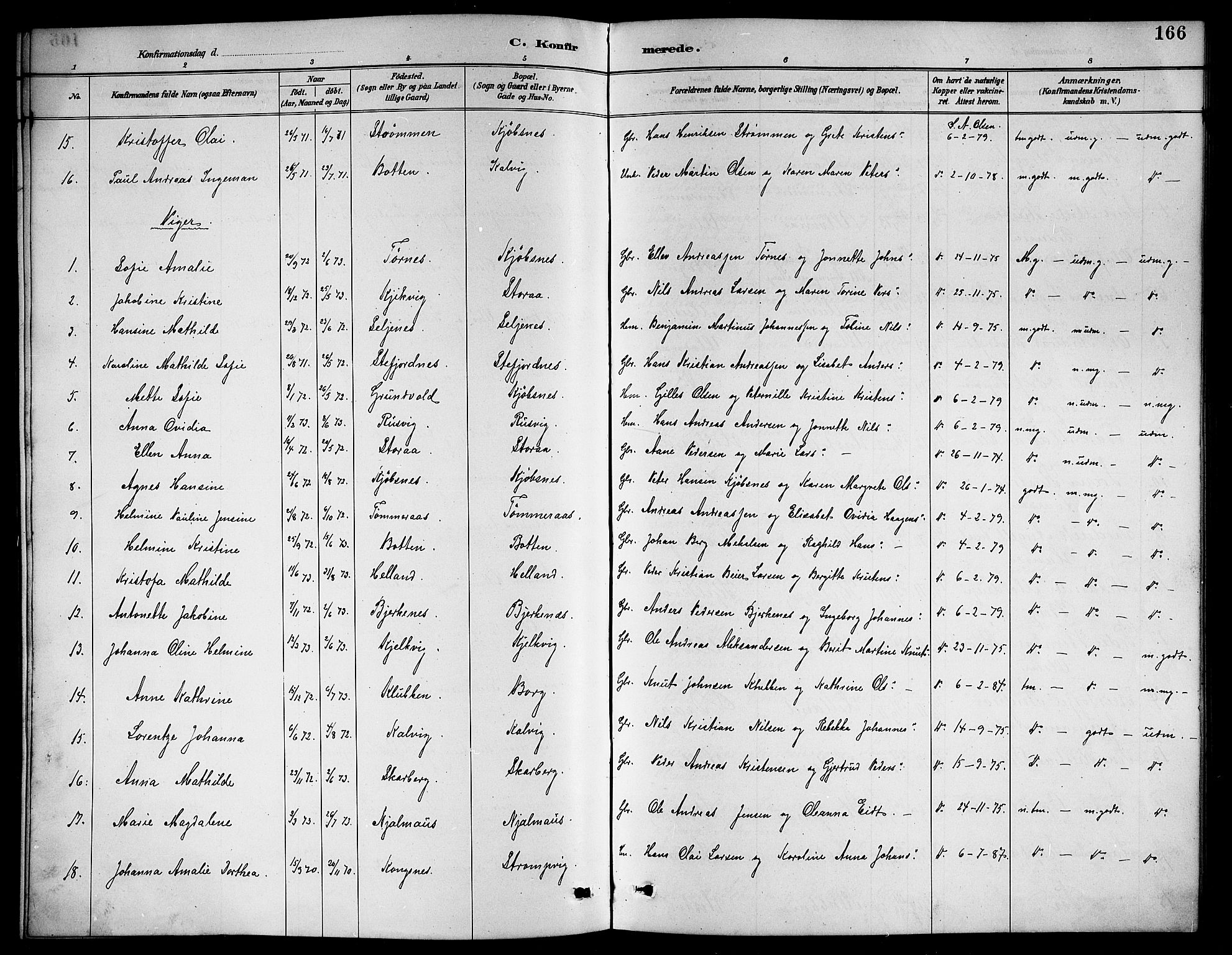 Ministerialprotokoller, klokkerbøker og fødselsregistre - Nordland, AV/SAT-A-1459/861/L0876: Parish register (copy) no. 861C02, 1887-1903, p. 166