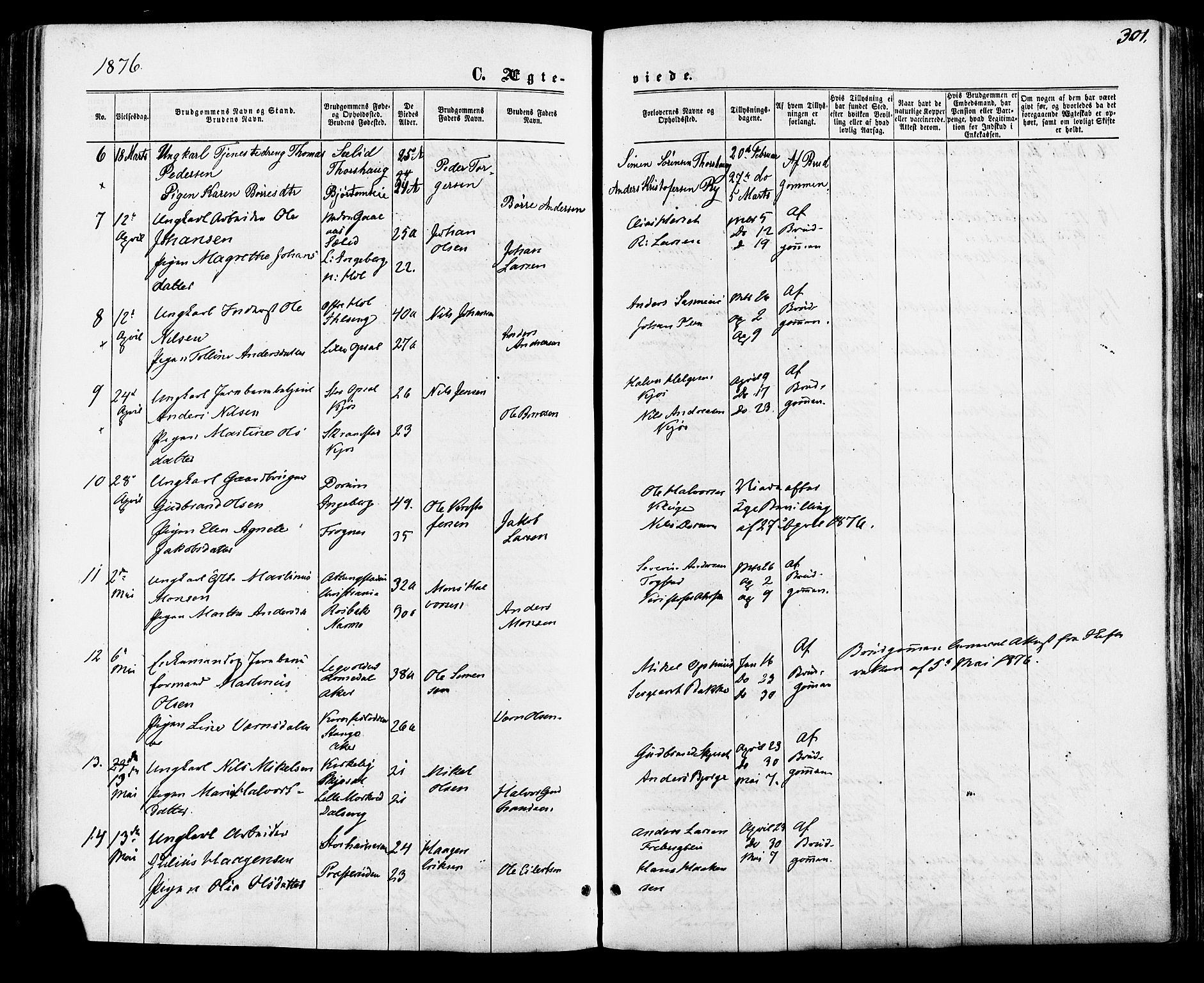 Vang prestekontor, Hedmark, AV/SAH-PREST-008/H/Ha/Haa/L0015: Parish register (official) no. 15, 1871-1885, p. 301