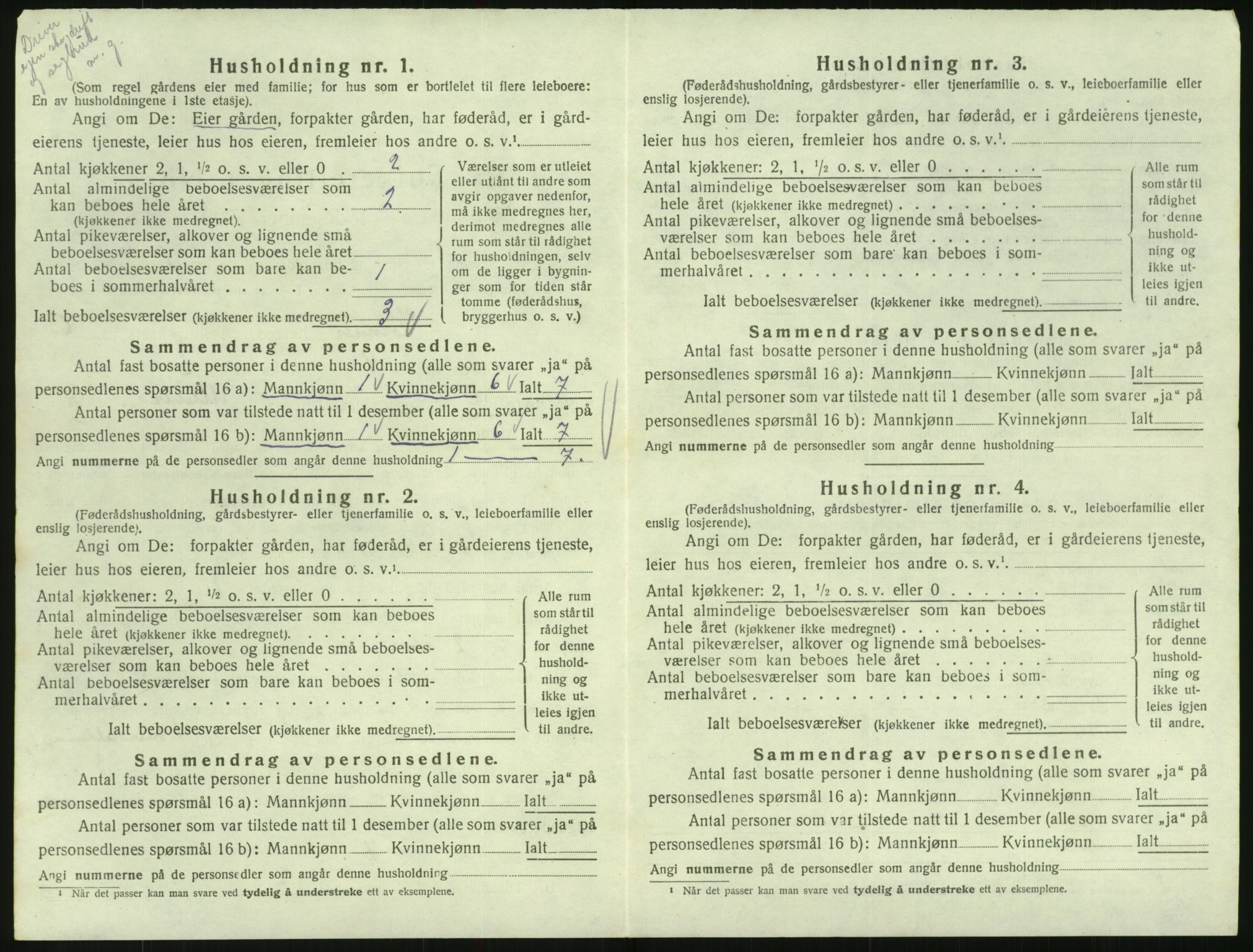 SAK, 1920 census for Hornnes, 1920, p. 246