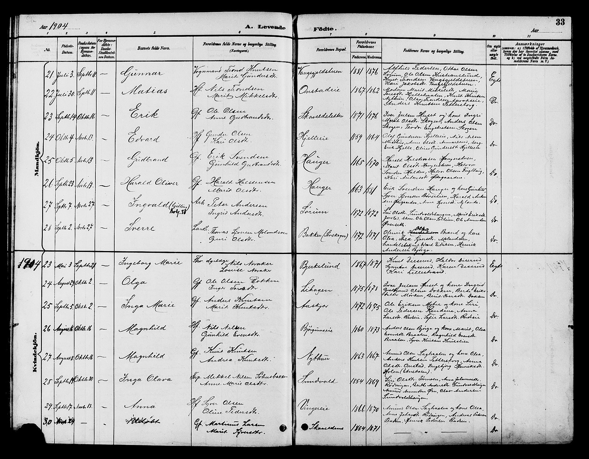 Nord-Aurdal prestekontor, AV/SAH-PREST-132/H/Ha/Hab/L0010: Parish register (copy) no. 10, 1892-1907, p. 33