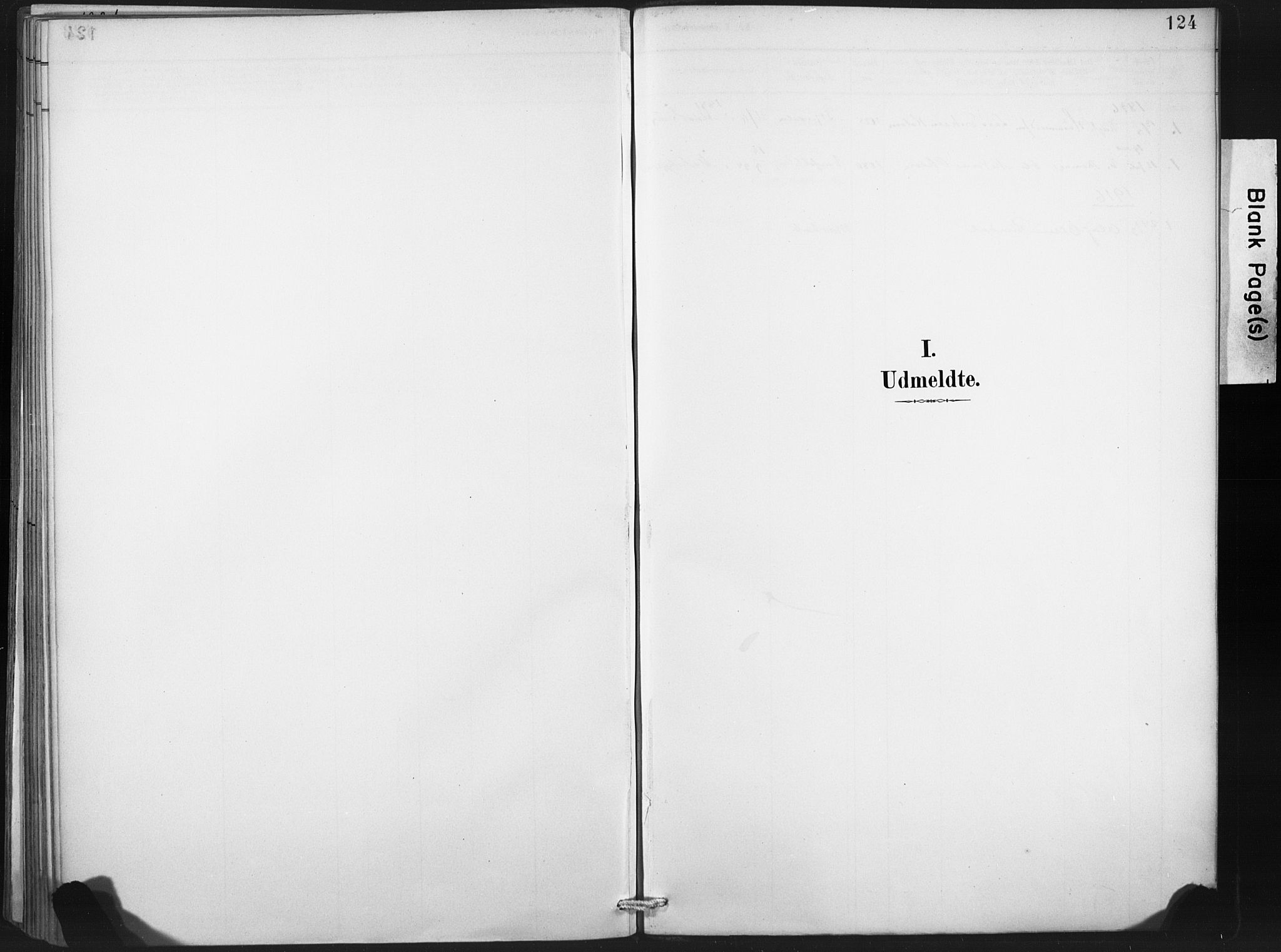 Ministerialprotokoller, klokkerbøker og fødselsregistre - Nord-Trøndelag, AV/SAT-A-1458/718/L0175: Parish register (official) no. 718A01, 1890-1923, p. 124