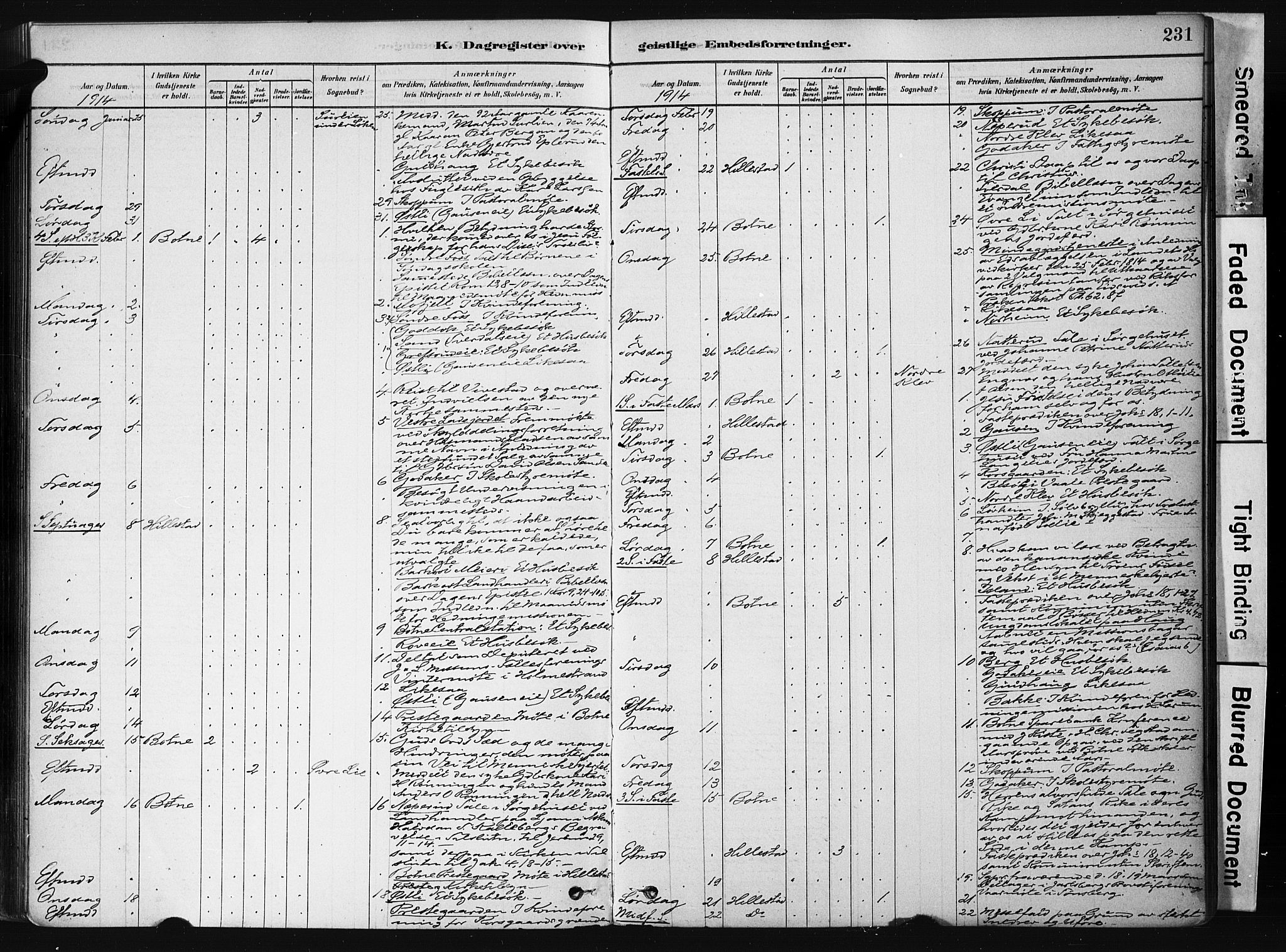 Botne kirkebøker, AV/SAKO-A-340/F/Fb/L0001: Parish register (official) no. II 1, 1878-1902, p. 231