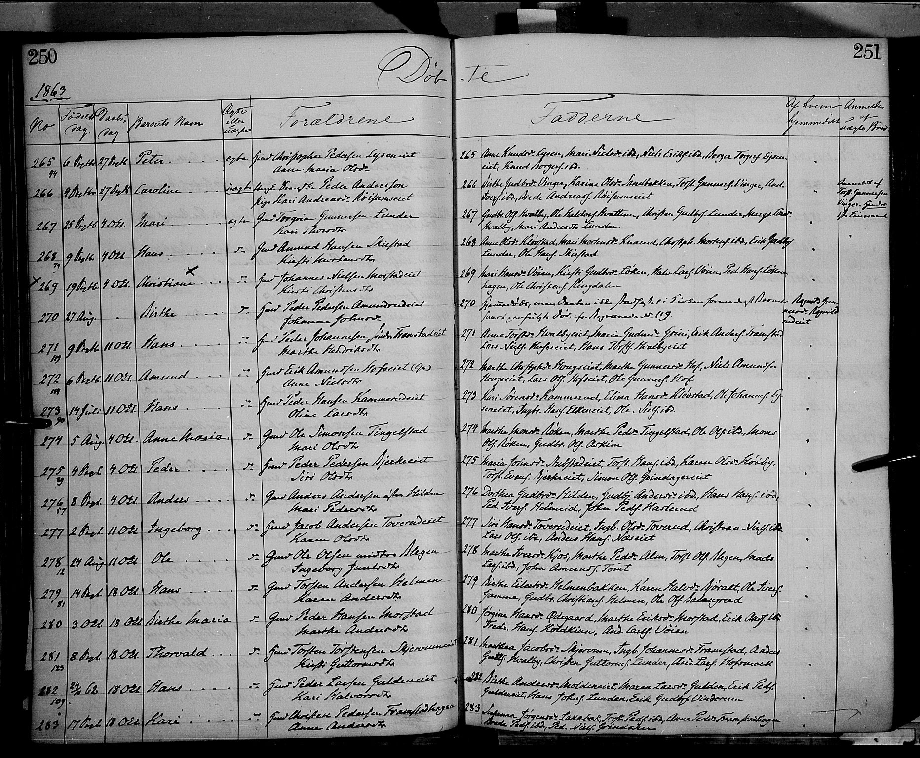 Gran prestekontor, AV/SAH-PREST-112/H/Ha/Haa/L0012: Parish register (official) no. 12, 1856-1874, p. 250-251